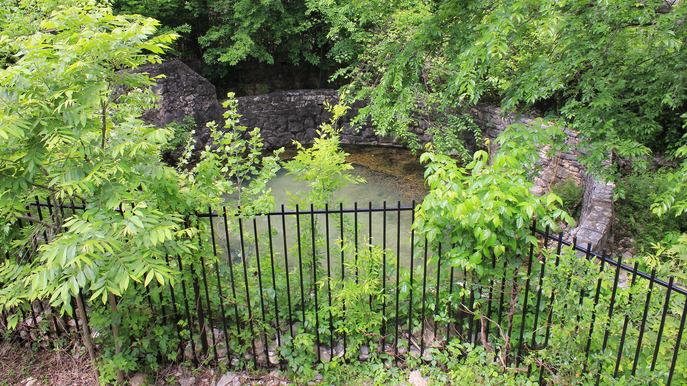 The Sunken Garden Springs in Zilker Park, Austin, Texas, United States. The area was developed by the National Youth Administration in the 1930s. It is off limits today as a sanctuary for the Barton Springs Salamander and the Austin Blind Salamander, both of which are endangered species. The sunken garden is a contributing site to the Zilker Park Historic District which was listed on the National Register of Historic Places on May 23, 1997.