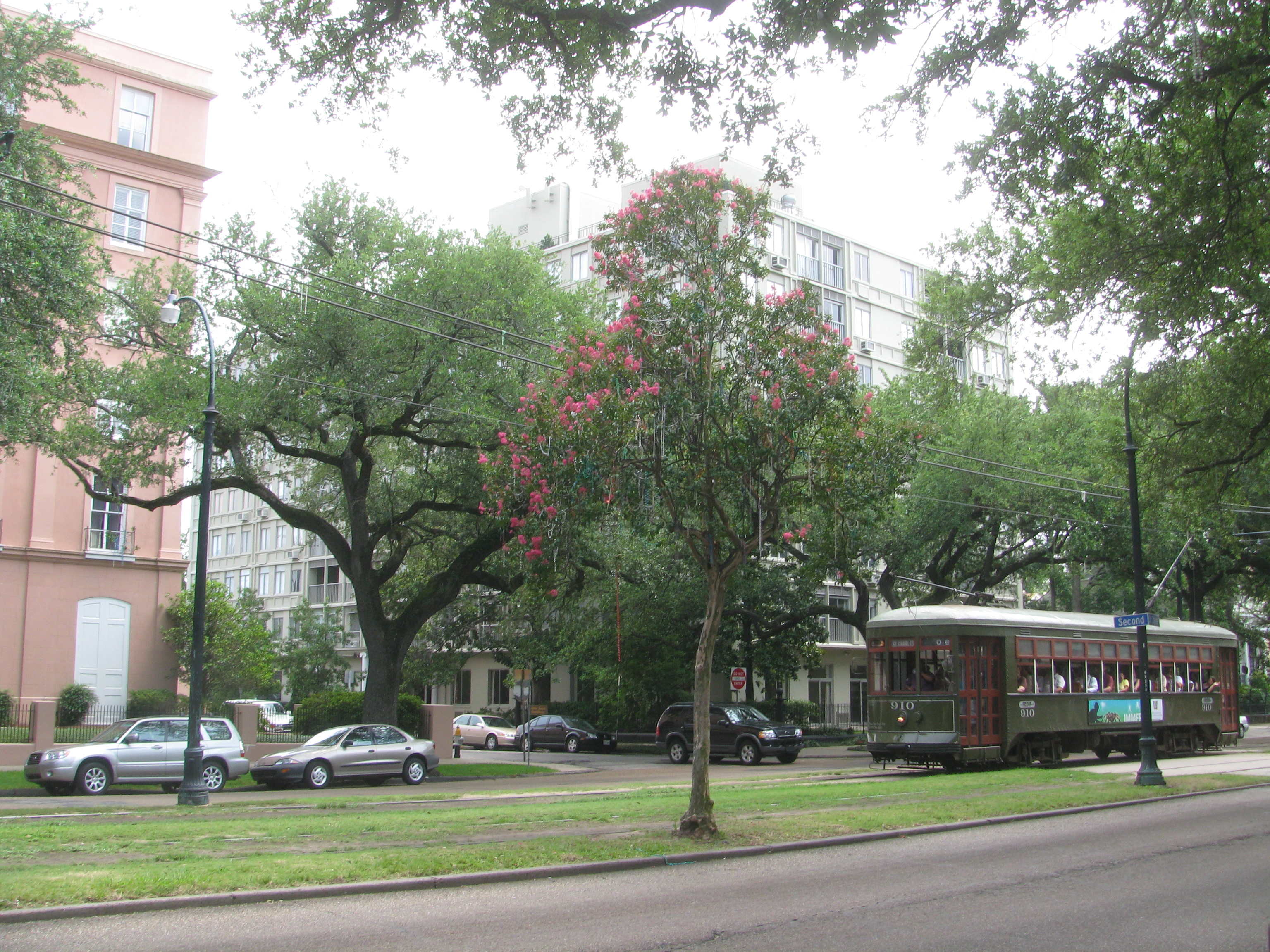 New Orleans Streetcar on en:St. Charles Avenue in the Garden District with en:Mardi Gras beads on a tree in the background.