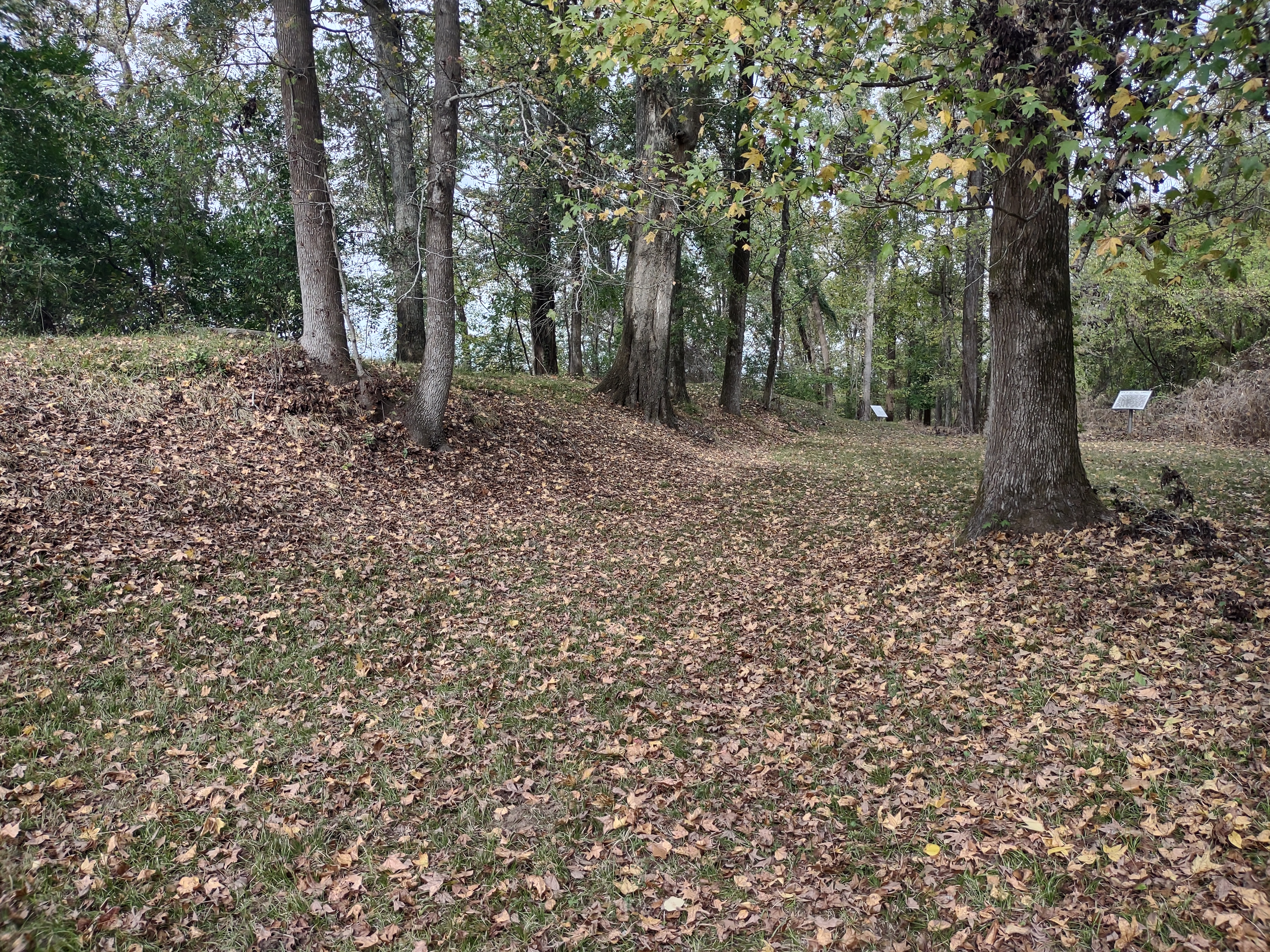 Fort Cobun remains at Grand Gulf Military State Park, Port Gibson, Mississippi