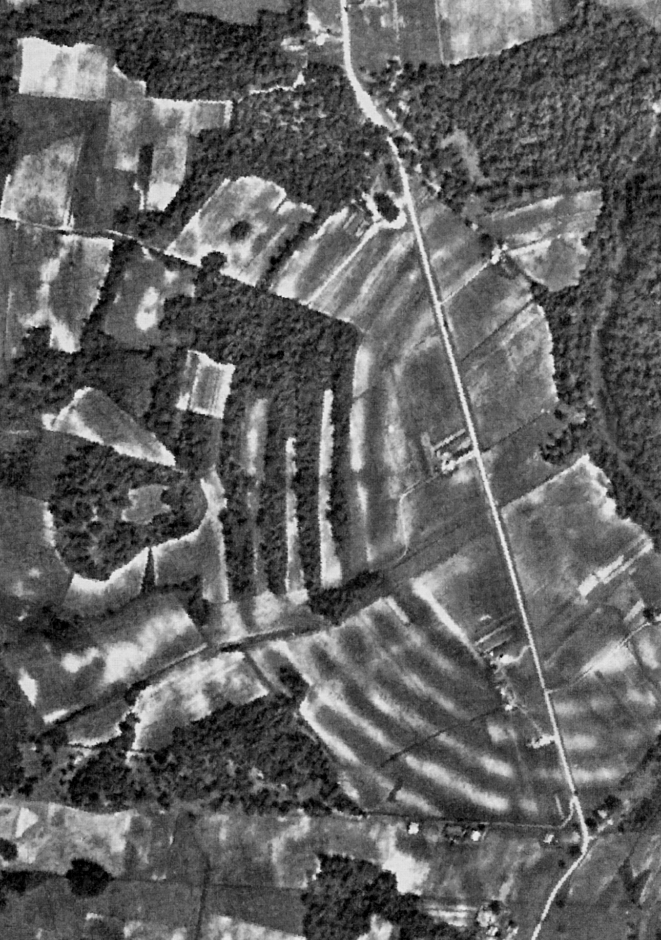 Aerial photograph of the Poverty Point site, Louisiana. Edited version.

Original
