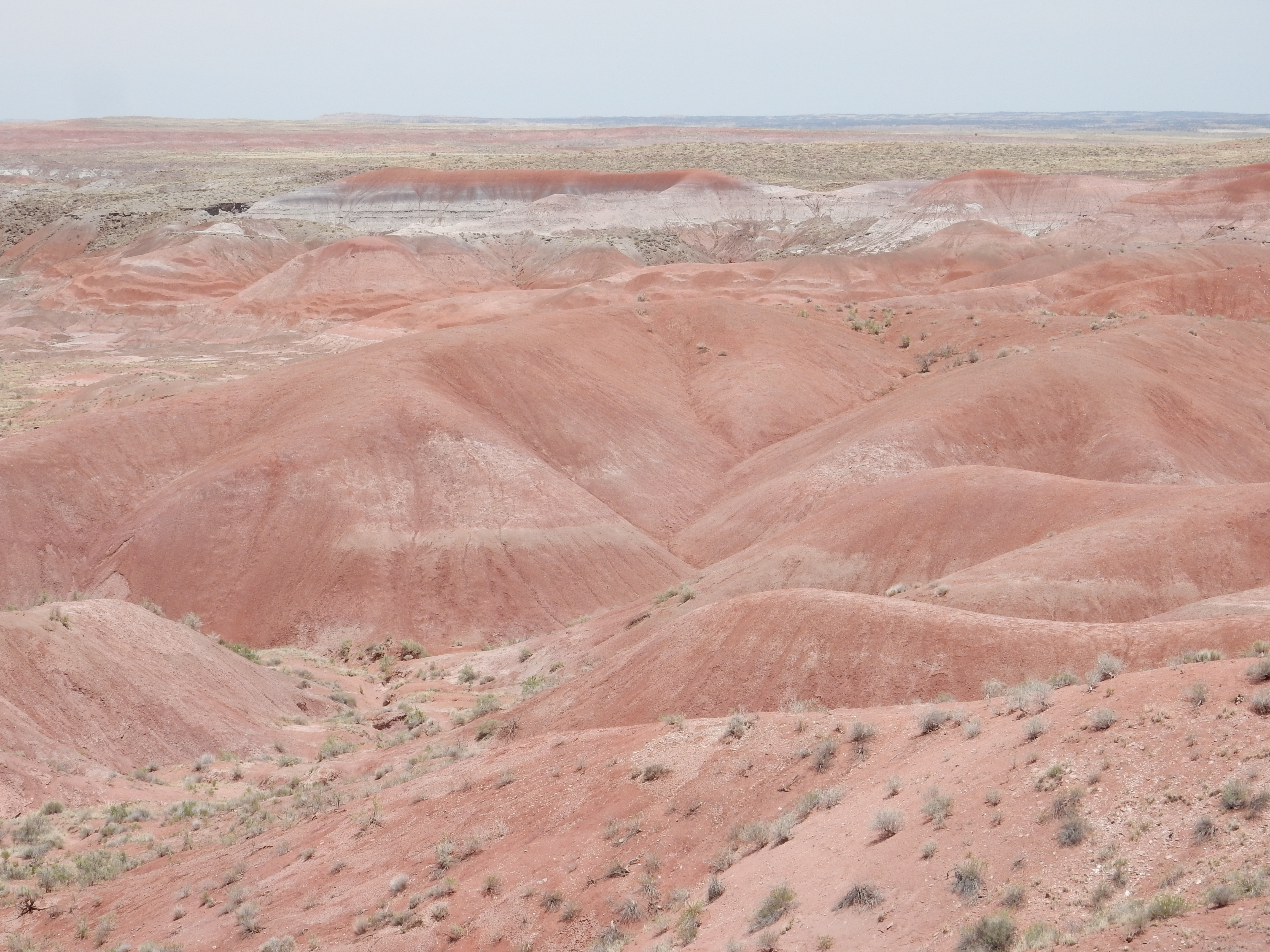This images shows the Petrified Forest Member at its type location north of Tiponi Point, Petrified Forest National Park, Arizona, US. The Petrified Forest Member is a continental mudstone member of the Triassic Chinle Formation.