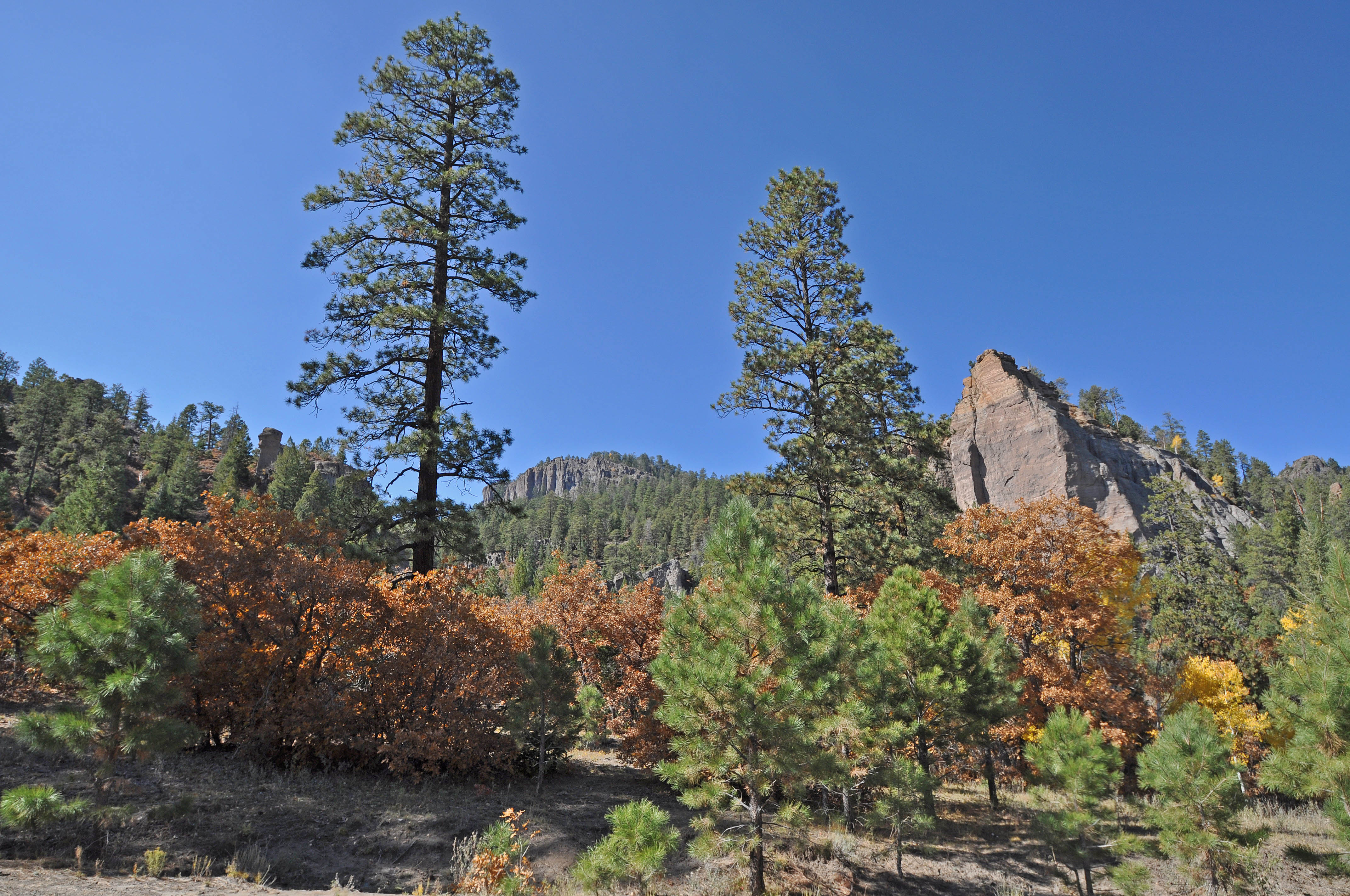 A view of the Chuska Mountains on the Navajo Indian Reservation near Narbona Pass north of Window Rock, Ariz. 19 October 2011