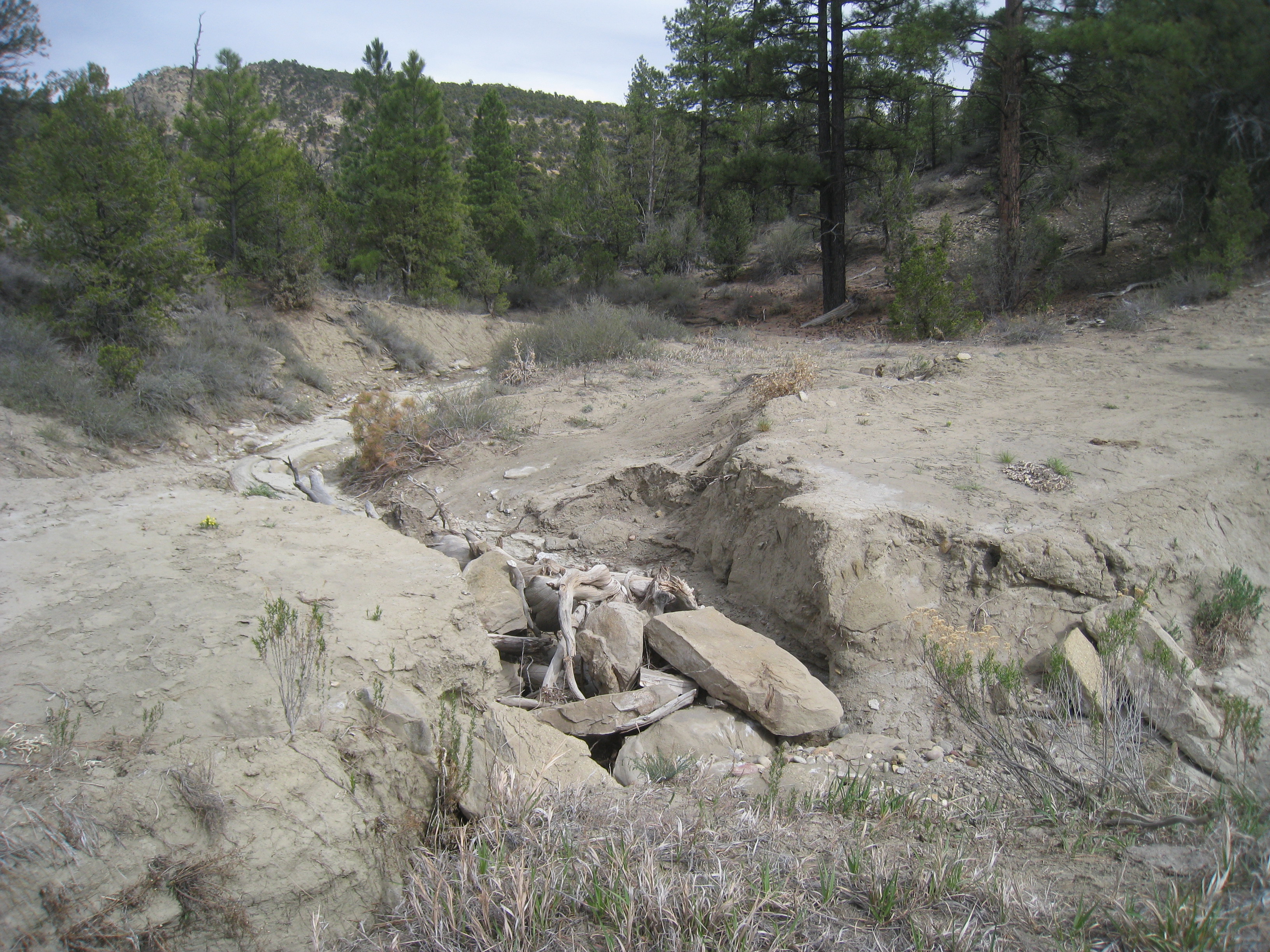 Washout on Horse Mountain Road (no change in a year; instead of repairing it, the BLM posts signs saying the road is not passable by full size vehicles; not true; all vehicles in party got through using bypass to right of photo)