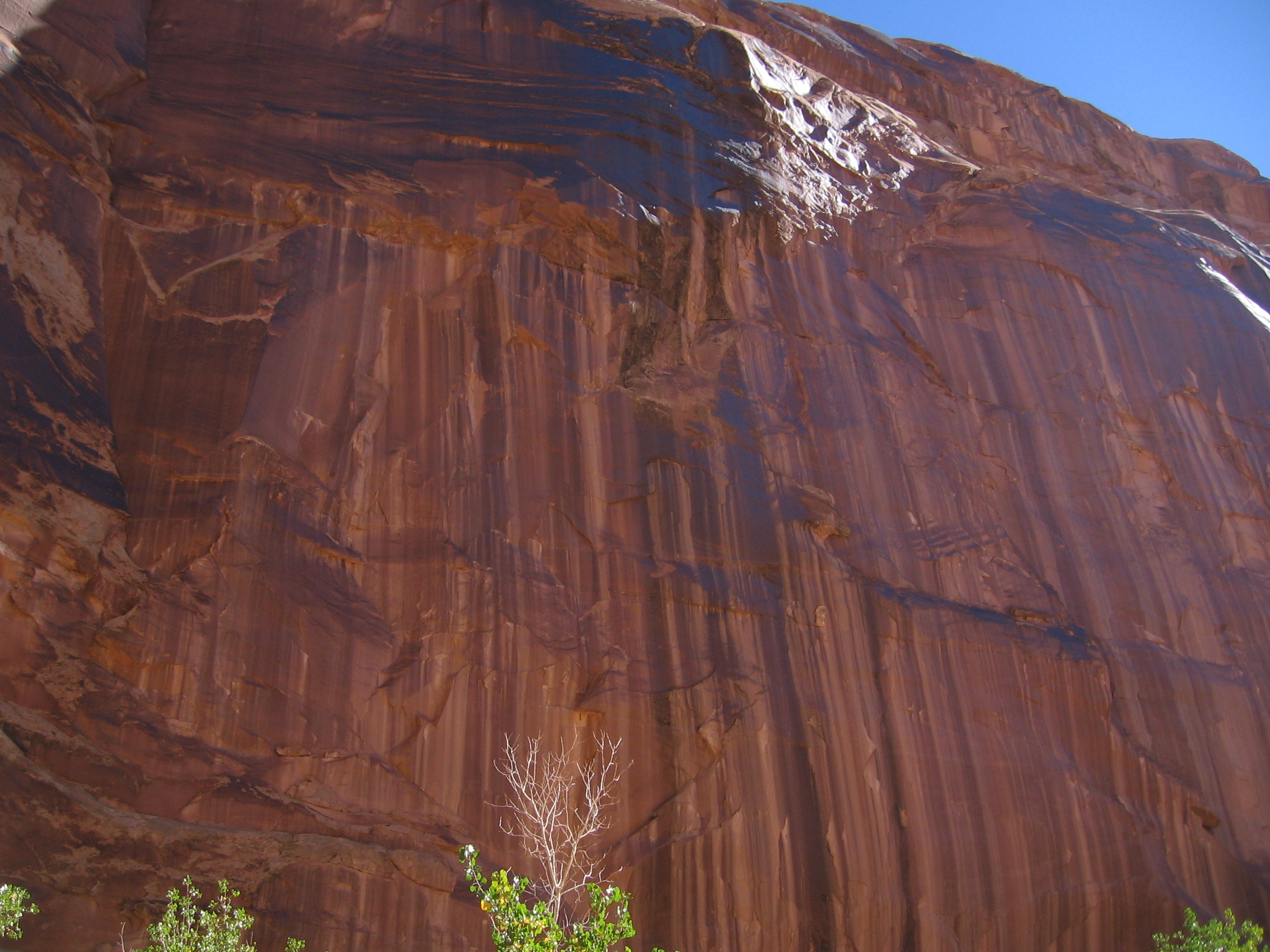 Desert varnish in Horseshoe Canyon, Canyonlands National Park, Utah.