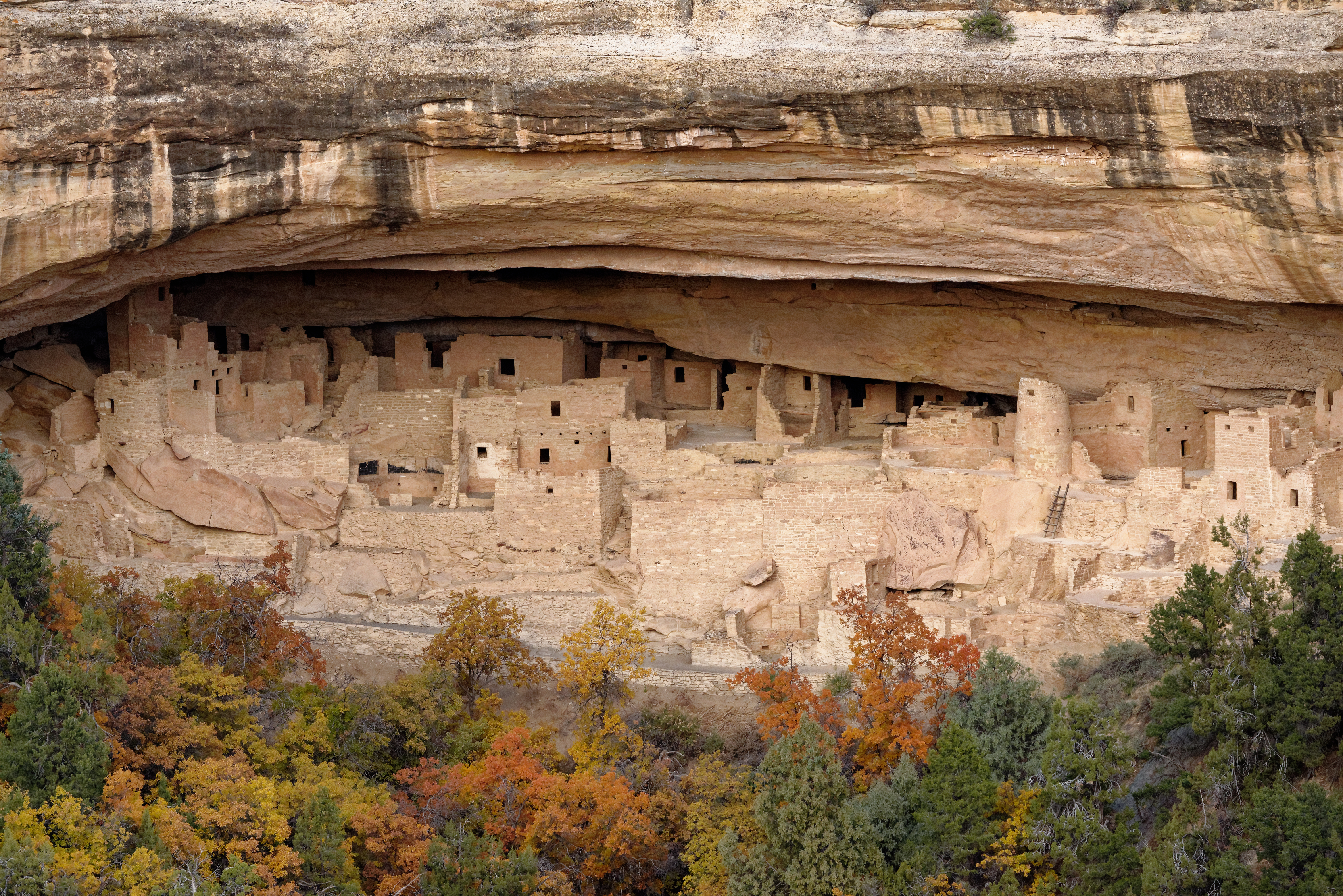 Cliff Palace in Mesa Verde National Park, Colorado, U.S.