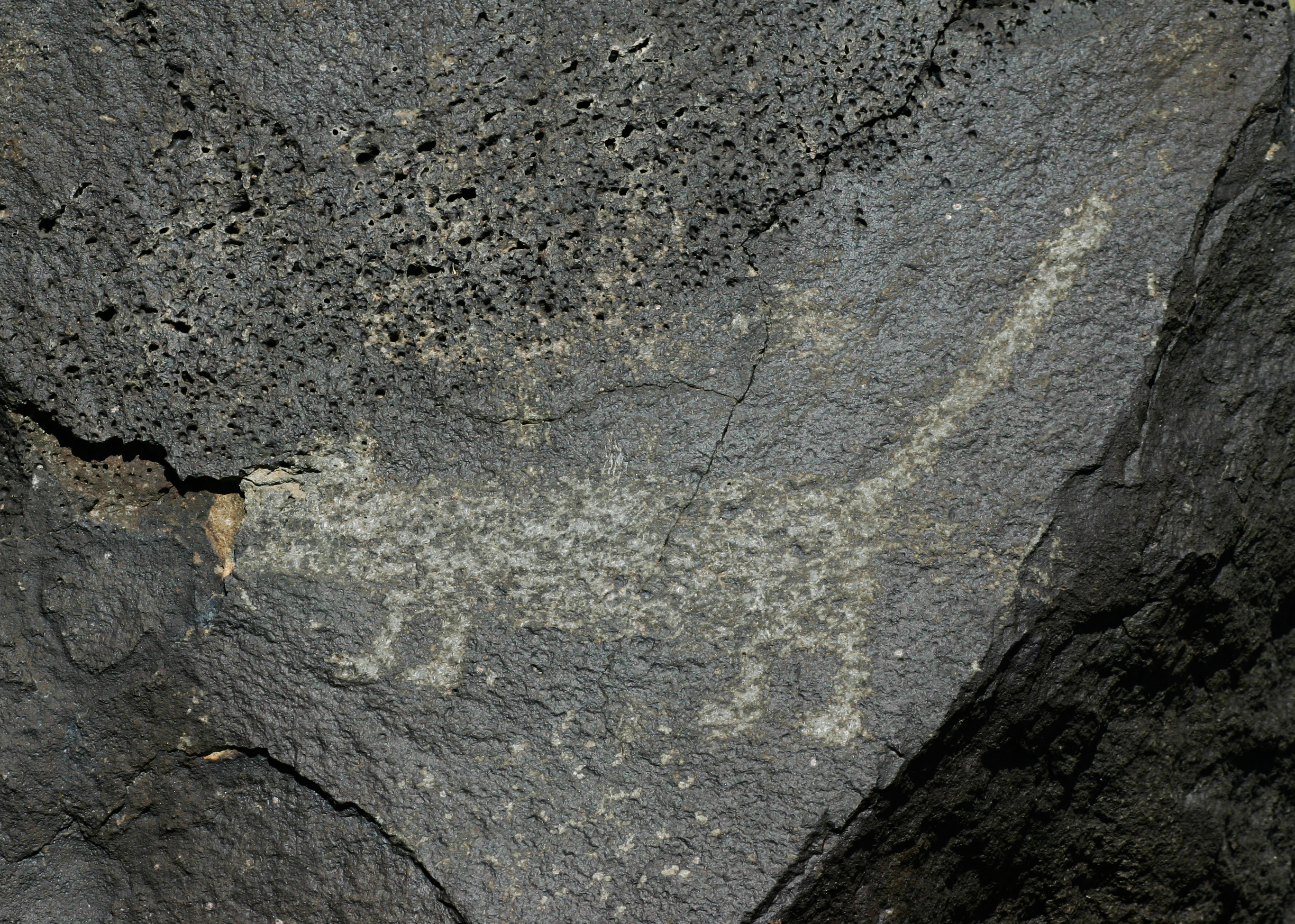 Petroglyph at Petroglyph National Monument, NM