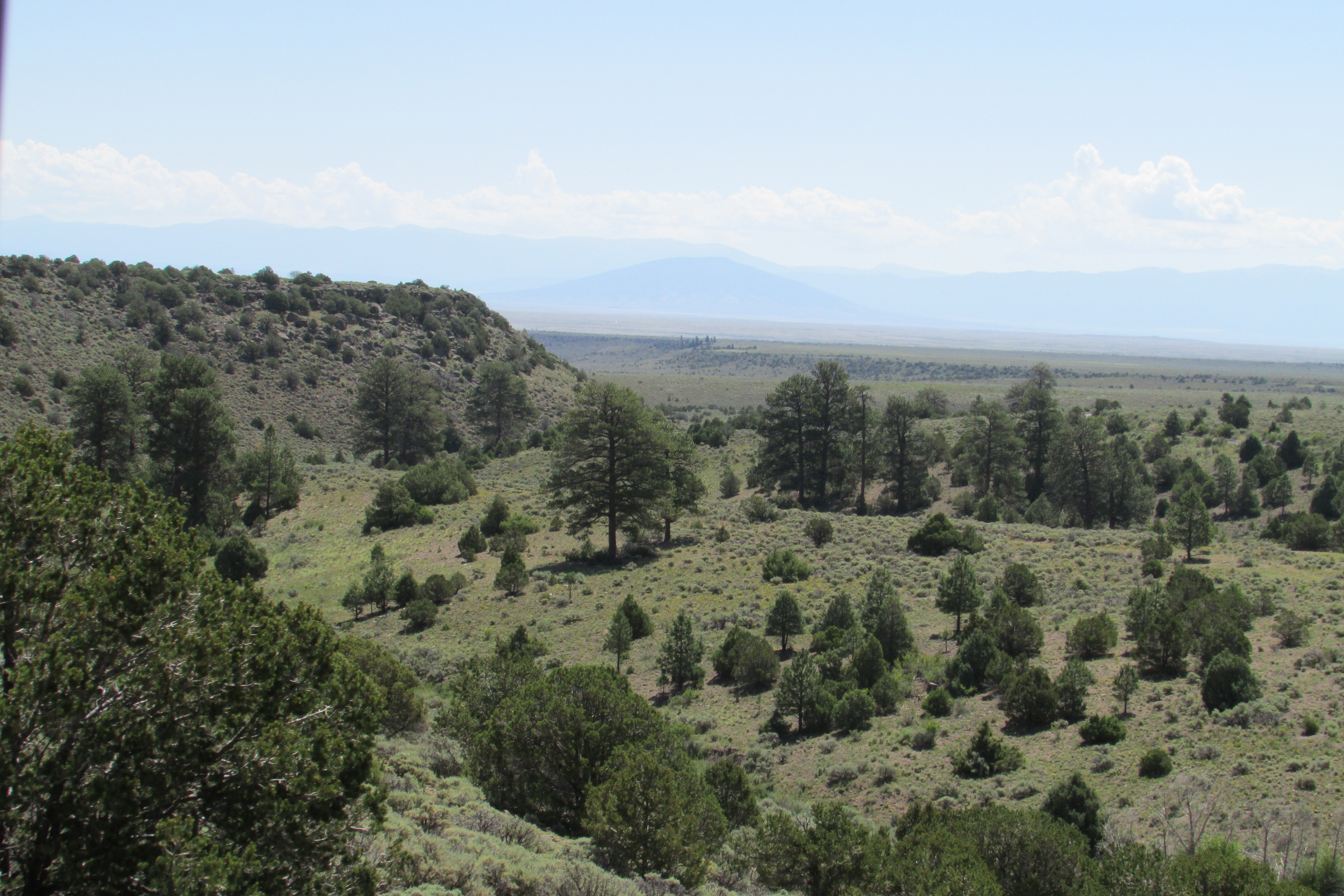 Cascade Valley, east of Osier, Colorado leading to Toltec Gorge along the Cumbres and Toltec Scenic Railway.