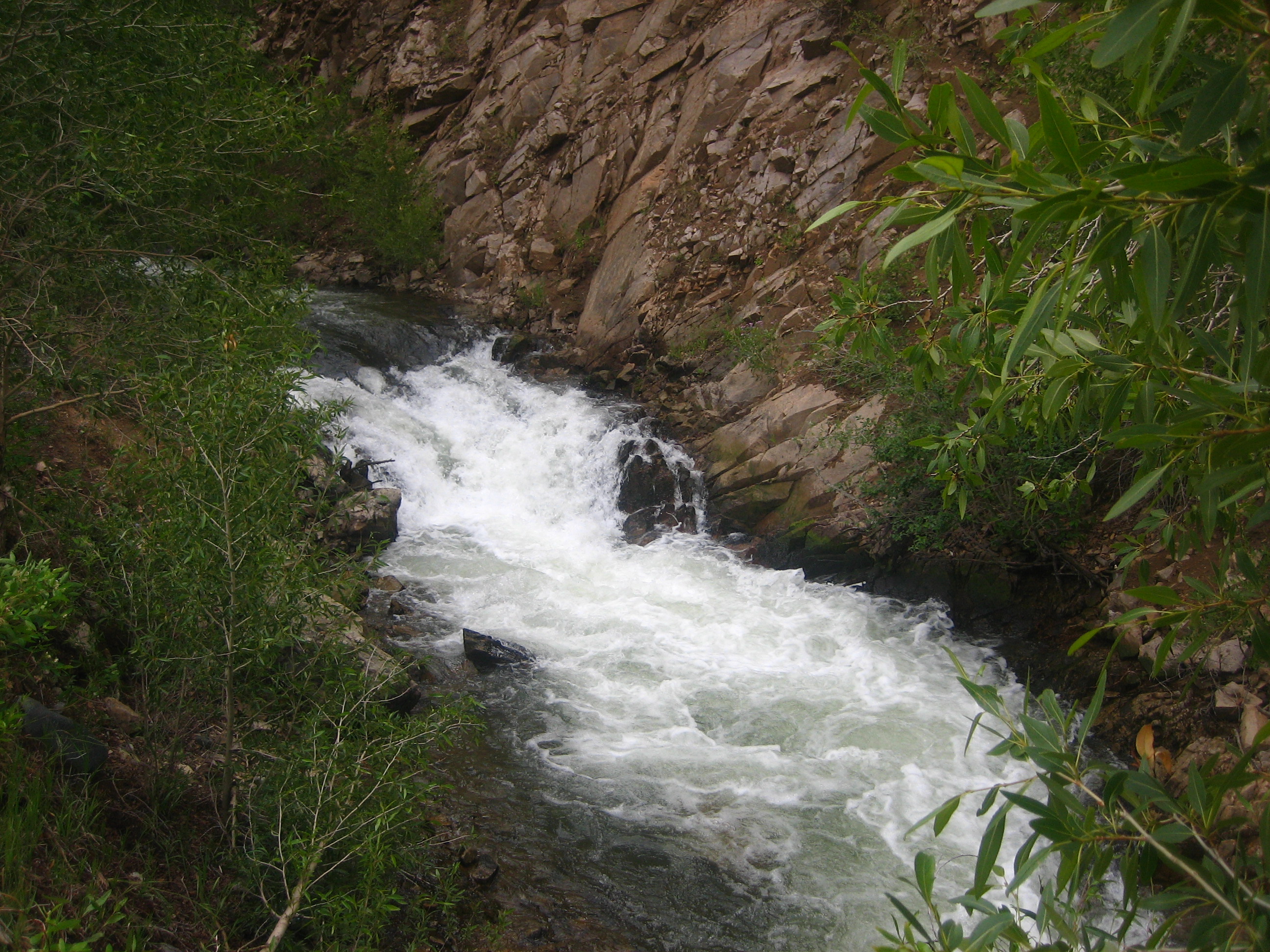 The Red River — of Taos County, northern New Mexico.
A tributary of the Rio Grande, its headwaters are on Mount Wheeler in the Sangre de Cristo Mountains.
A section is within Rio Grande del Norte National Monument, and designated a U.S. Wild and Scenic River.
I took photo in July 2008.