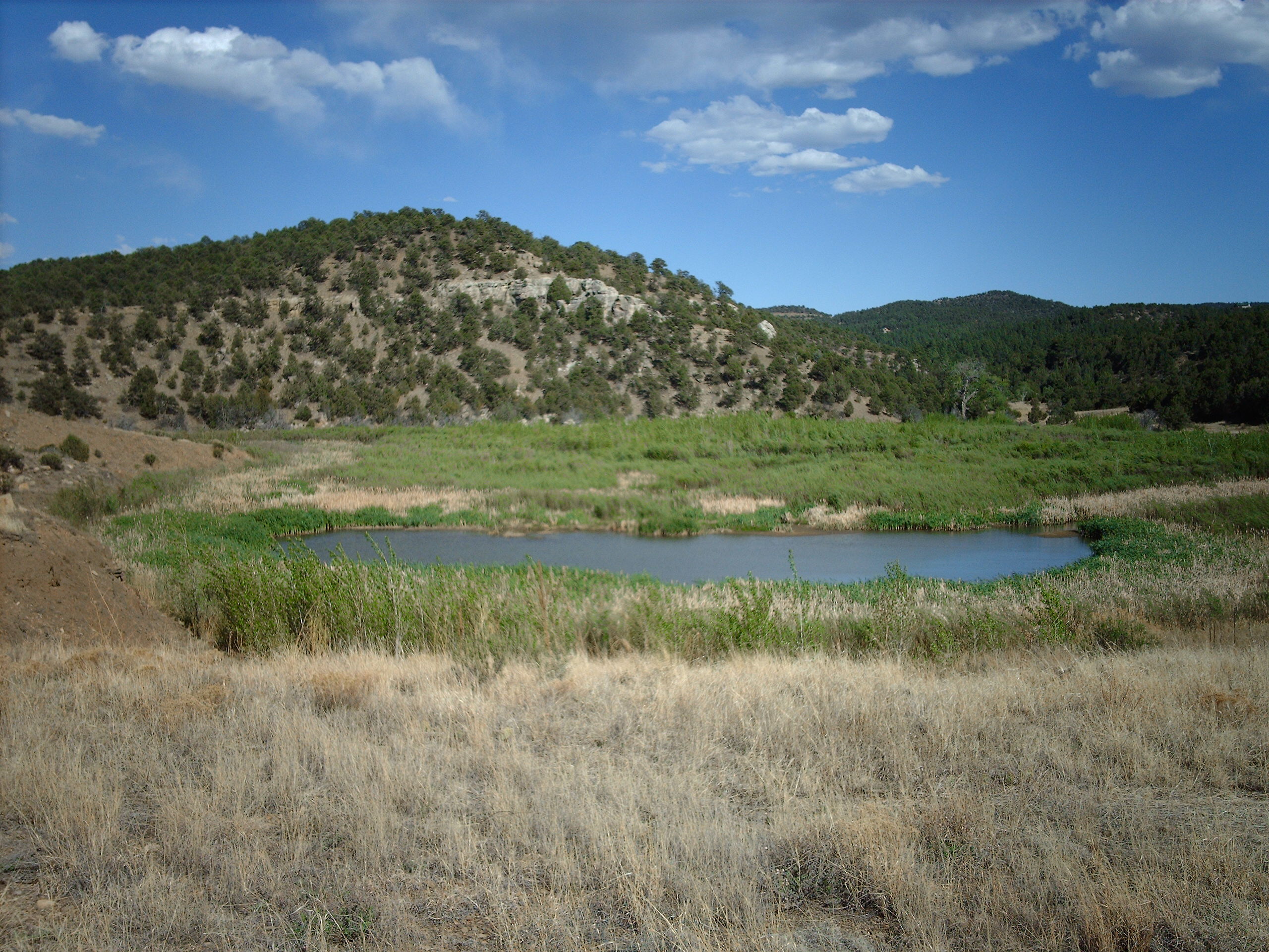 en:Trinidad Lake State Park, Colorado, USA. Longs Canyon area.  Taken by me.