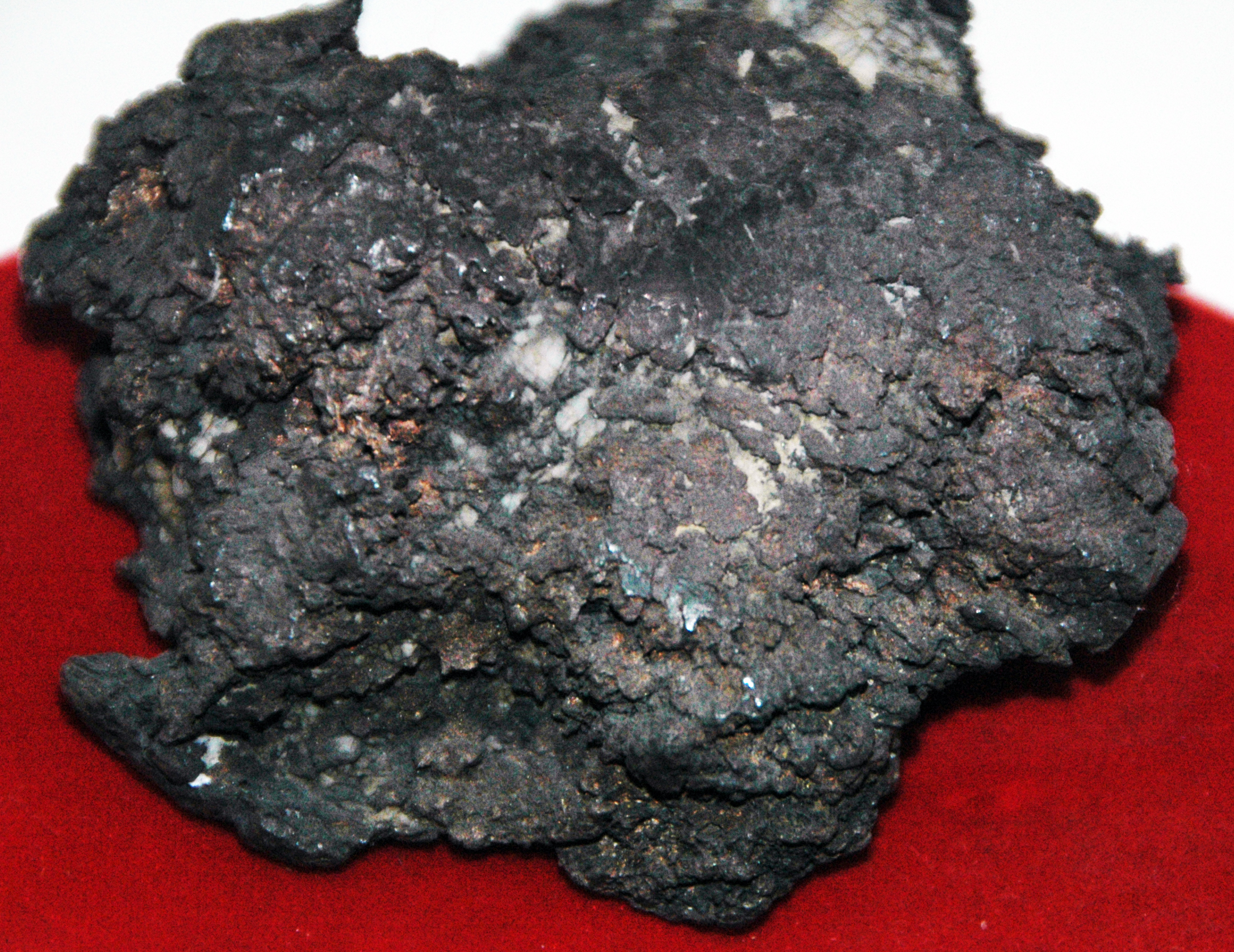 Tarnished native silver from the Tertiary of Colorado, USA. (public display, Leadville Mining Museum, Leadville, Colorado, USA)
A mineral is a naturally-occurring, solid, inorganic, crystalline substrance having a fairly definite chemical composition and having fairly definite physical properties. At its simplest, a mineral is a naturally-occurring solid chemical. Currently, there are over 4900 named and described minerals - about 200 of them are common and about 20 of them are very common. Mineral classification is based on anion chemistry. Major categories of minerals are: elements, sulfides, oxides, halides, carbonates, sulfates, phosphates, and silicates.
Elements are fundamental substances of matter - matter that is composed of the same types of atoms. At present, 118 elements are known (four of them are still unnamed). Of these, 98 occur naturally on Earth (hydrogen to californium). Most of these occur in rocks & minerals, although some occur in very small, trace amounts. Only some elements occur in their native elemental state as minerals.
To find a native element in nature, it must be relatively non-reactive and there must be some concentration process. Metallic, semimetallic (metalloid), and nonmetallic elements are known in their native state as minerals.
Silver is part of the gold-group of metallic elements. Silver is a precious metal, but is far less valuable than gold or platinum. Silver usually occurs as a silver sulfide mineral, but it also occurs in nature in its native state, often in the form of twisted wires. Silver is moderately soft and has a silvery-white color on fresh surfaces that tarnishes to darker colors. Elemental silver in nature is often found alloyed with other metals. Naturally alloyed gold-silver is called electrum.
The tarnished silver mass shown above is a 28 ounce silver "nugget" from Colorado's famous Smuggler Union Mine.
Locality: Smuggler-Union Mine, Telluride, San Juan Mountains, Colorado, USA