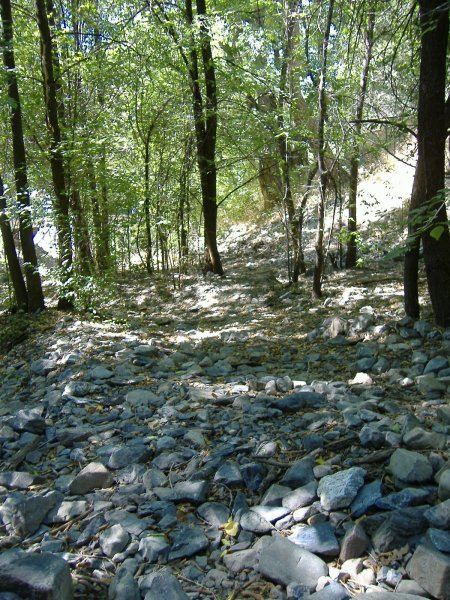Here Ute Indian women and children tried to hide from the Mormon Militia by taking cover in the icy cold mountain stream water. Battle Creek has since been diverted upstream from the attack site. Its water is now used for culinary purposes by the residents of Pleasant Grove, Utah.