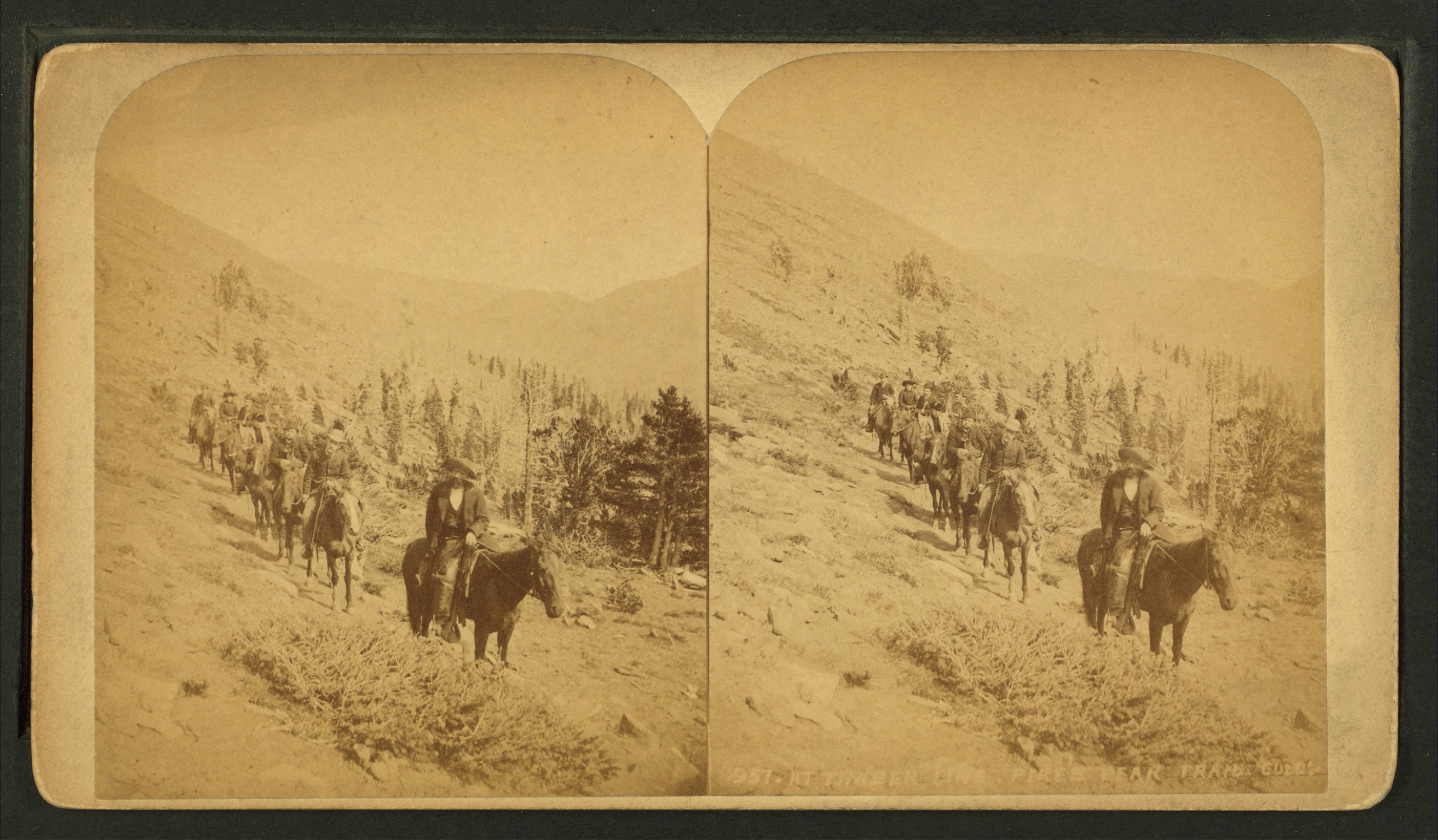 At timber line, Pike's Peak trail. Colo, by Martin, Alexander, d. 1929.jpg