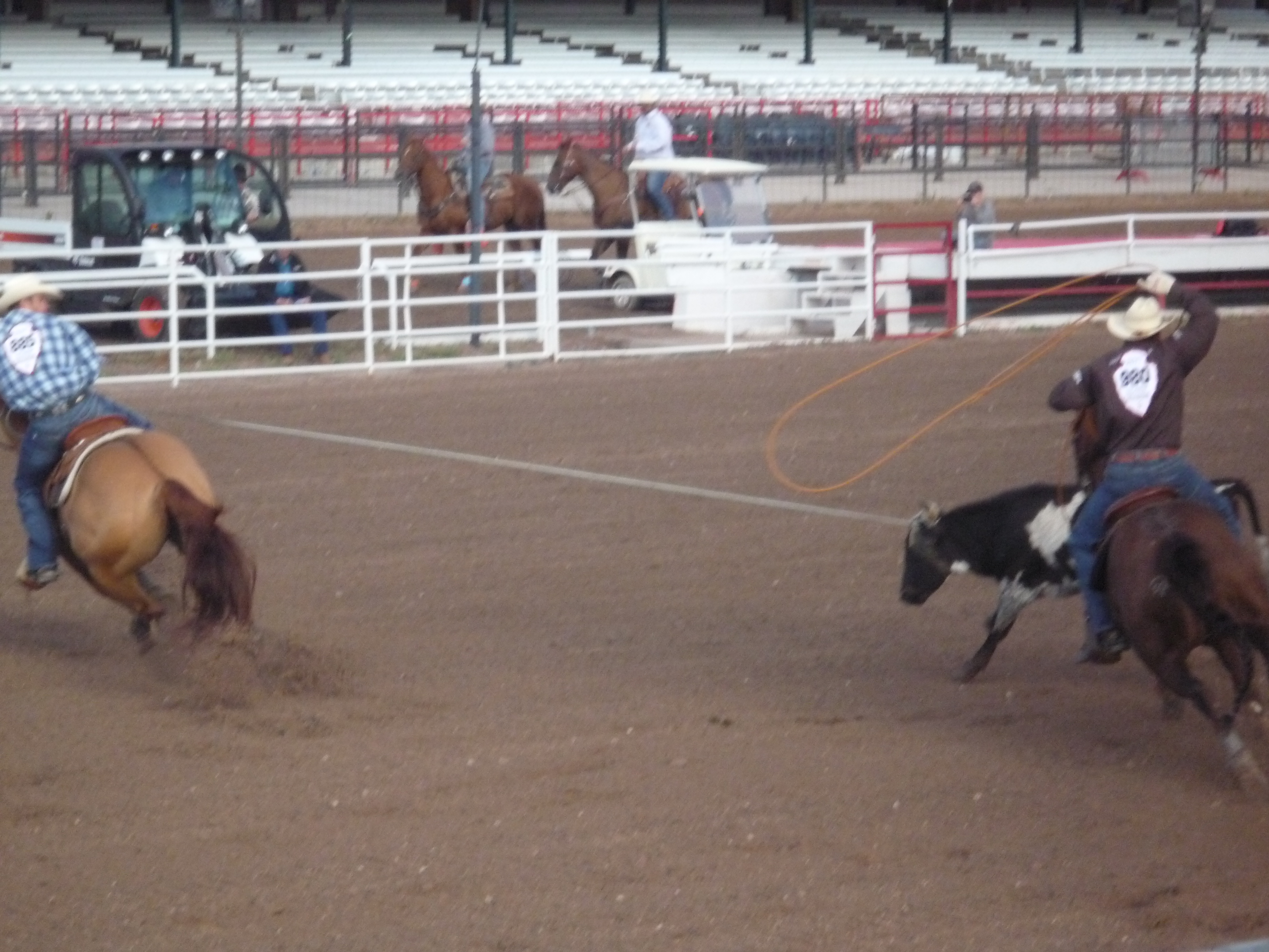 Picture taken at Cheyenne Frontier Days in 2017.