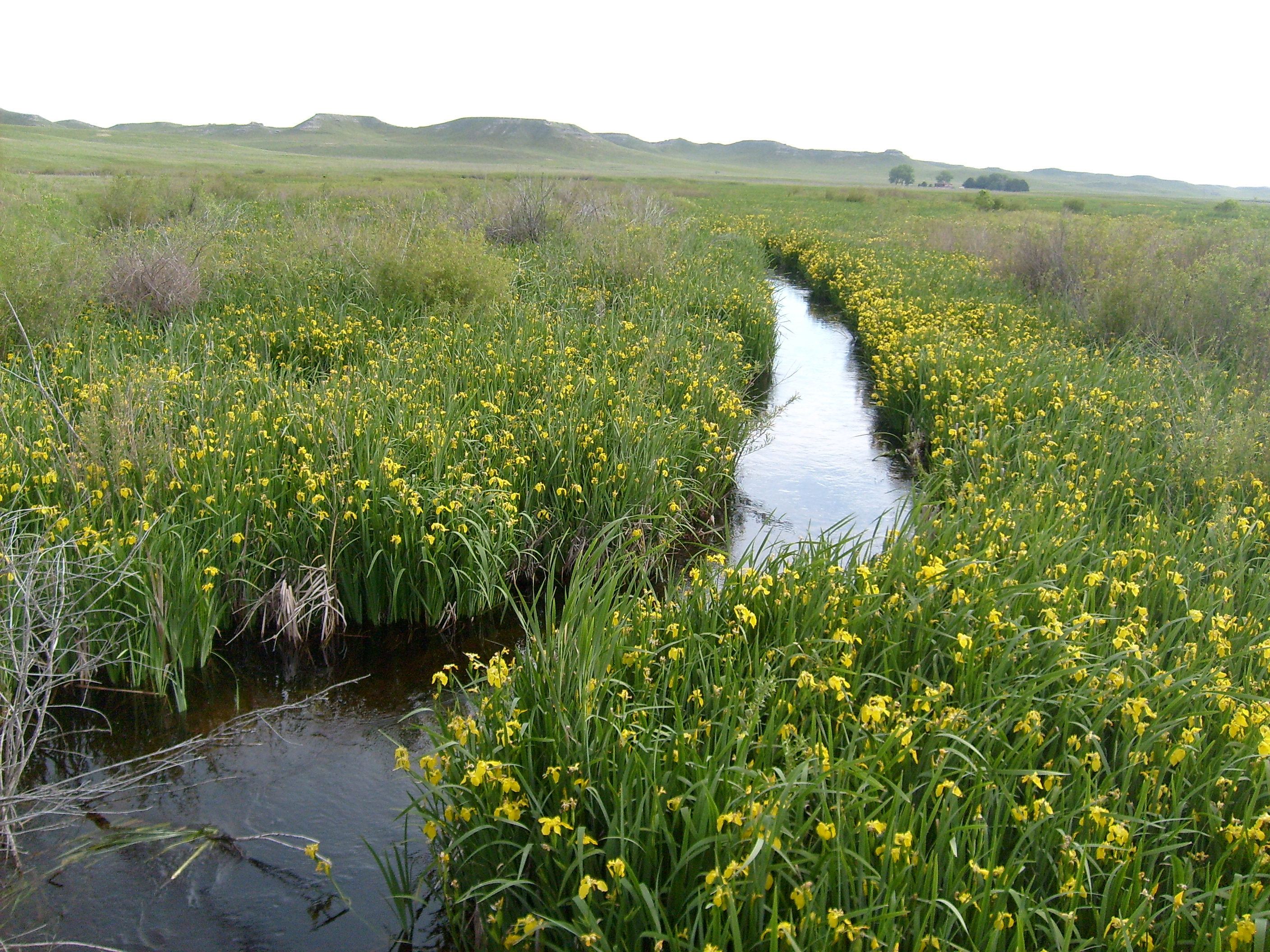 The Niobrara river at Agate Fossil Beds