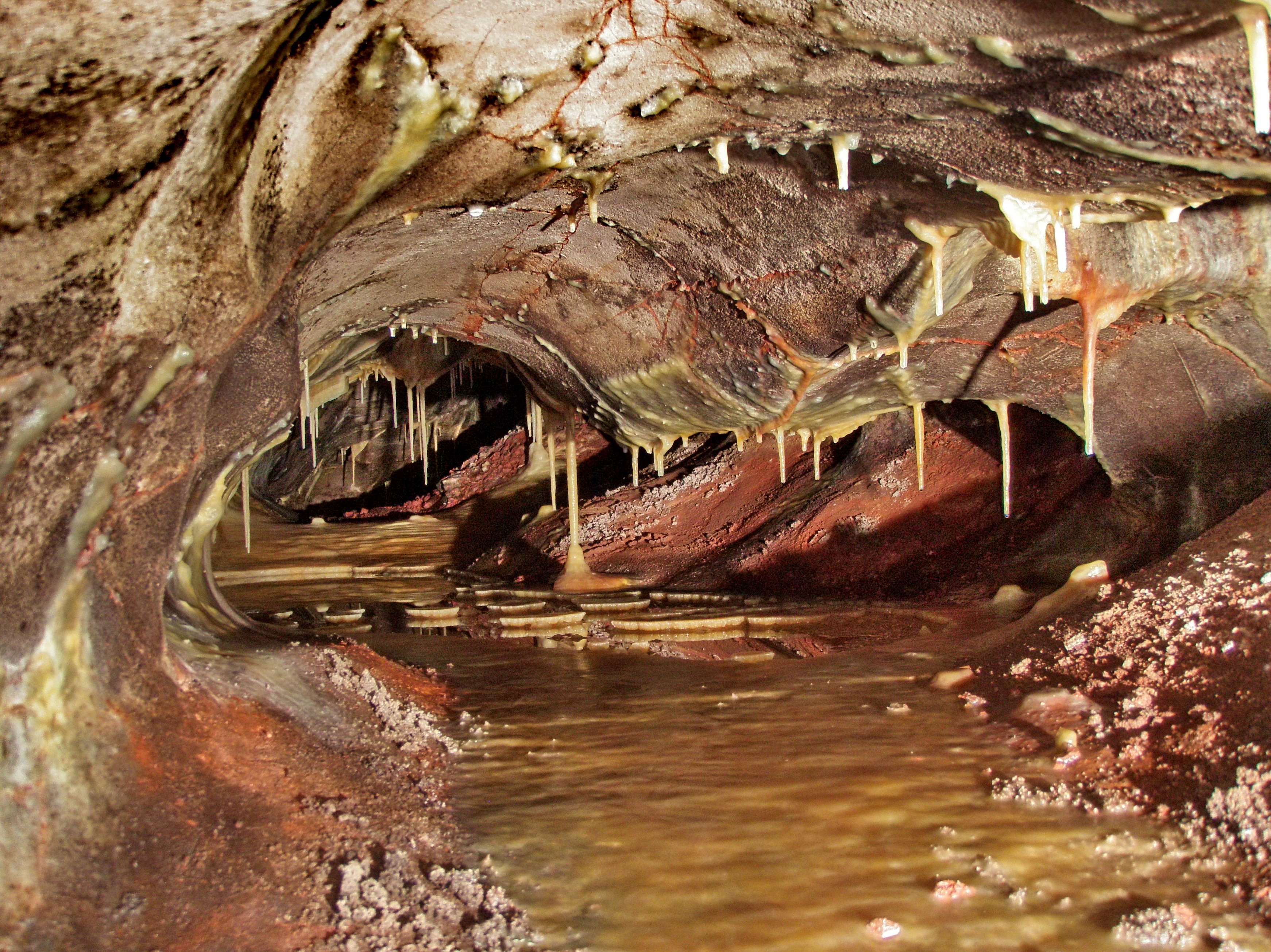 Skyway Lake, stalactites, Wind Cave