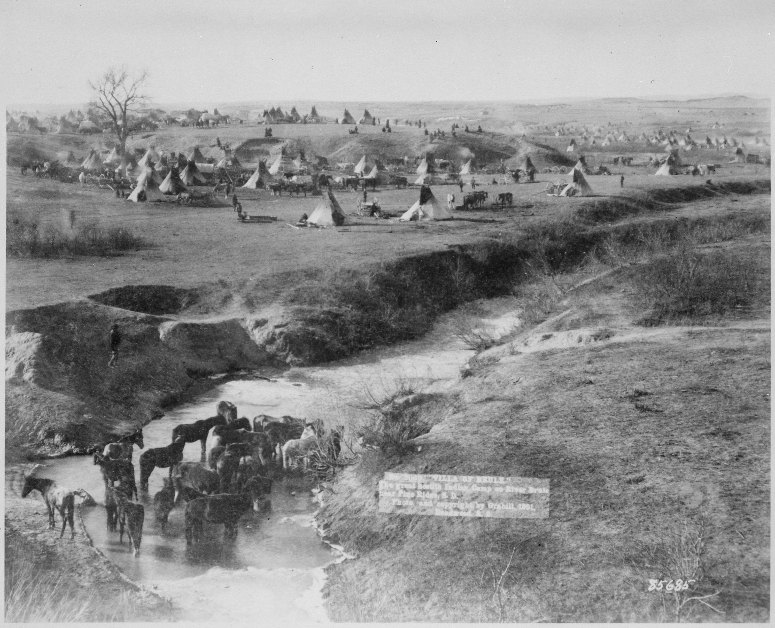 "Villa of Brule. The great hostile Indian camp on River Brule near Pine Ridge, S. D." By Grabill, 1891 - NARA - 530890.jpg