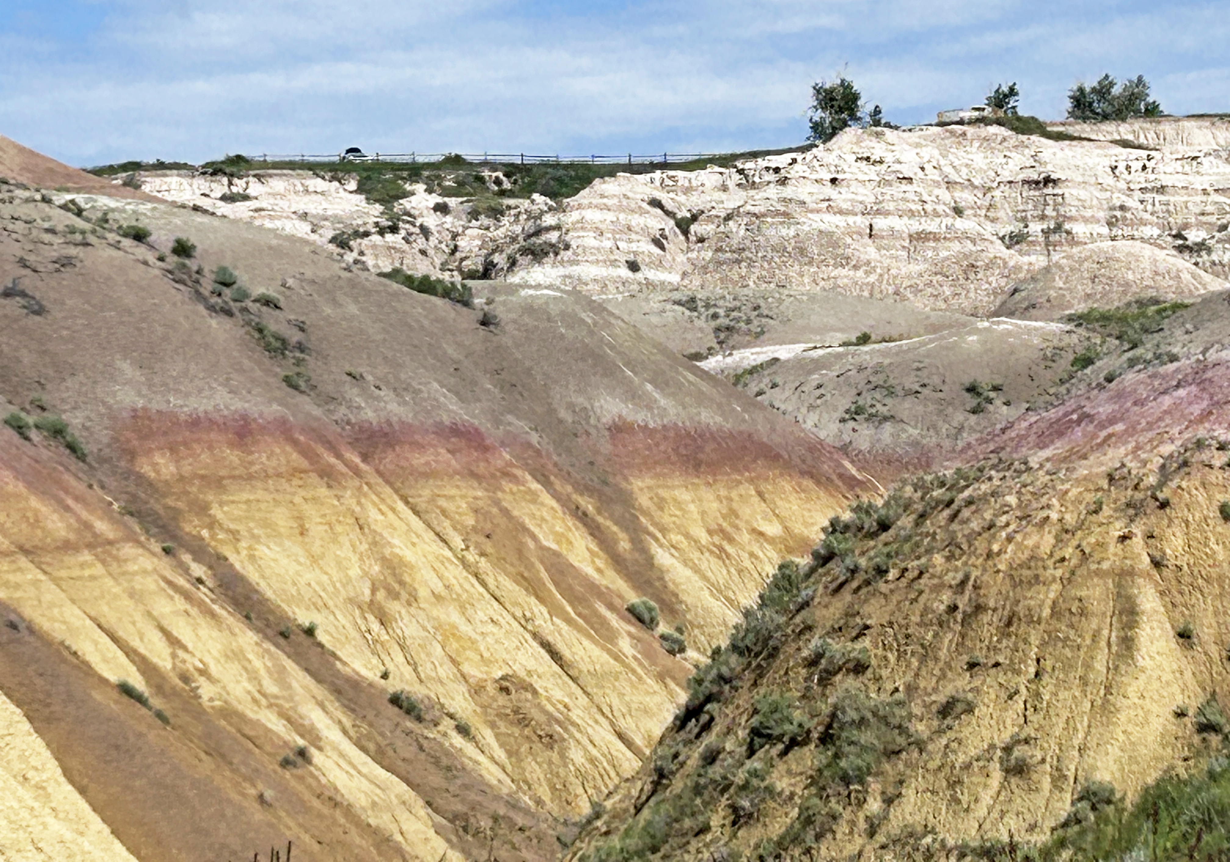 The White River Badlands of South Dakota consist of a scenic landscape of differentially weathered and eroded, nonmarine sedimentary rocks of Tertiary age.  The most visually-striking areas have been set aside as an American national park (Badlands).
The simplified stratigraphic succession in Badlands National Park is:
Sharps Formation (Oligocene)
Brule Formation (Oligocene)
Chadron Formation (Eocene)
Chamberlain Pass Formation (Eocene)
Fox Hills Formation (Cretaceous-Paleocene?)
Pierre Shale (Cretaceous)
The Brule and Chadron Formations make up the White River Group, which along with the overlying Sharps Formation, are the principal scenery-making units in the White River Badlands.  Light-colored volcanic ash beds are present in the succession, as are numerous reddish-colored paleosol ("fossil soil") horizons.  The Pierre Shale at the base of the exposed succession is a marine unit.
The White River Group weathers and erodes relatively quickly into a rugged landscape with steep slopes, little to no soil, and little to no vegetation.  These are the characteristics of badlands topography - "bad" referring to its unsuitability for farming.
Nonmarine fossils are relatively common in the White River Group - principally fossil mammals and other vertebrates.  Fossils in the Chadron Formation indicate a swampy, near-sea level environment.  The overling Brule Formation produces fossils consistent with a grassy prairie environment.  The transition from low-elevation swamp to higher-elevation prairie in this area coincides with the uplift of the Rocky Mountains during the late stages of the Laramide Orogeny.
Erosion rates in the White River Badlands indicate that the landscape started to appear about half-a-million years ago and will disappear about half-a-million years from now.  The landscape has about a one million year lifespan.
The hills seen here have two distinctive paleosol horizons.  The lower, thicker, yellowish-colored interval is the Yellow Mounds Paleosol, a Late Eocene ultisol.  The upper, thinner, reddish-colored interval is the Interior Paleosol, a Late Eocene alfisol.  The overlying rocks are the Upper Eocene Chadron Formation.
Stratigraphy: Yellow Mounds Paleosol (capping the Fox Hills Formation) and Interior Paleosol (capping the Chamberlain Pass Formation), basal White River Group, Chadronian Stage, Upper Eocene
Locality: Yellow Mounds Overlook area, White River Badlands, Badlands National Park, western South Dakota, USA


Online pub. covering the geology of Badlands National Park:

pubs.usgs.gov/of/2003/0035/pdf/of03-35.pdf