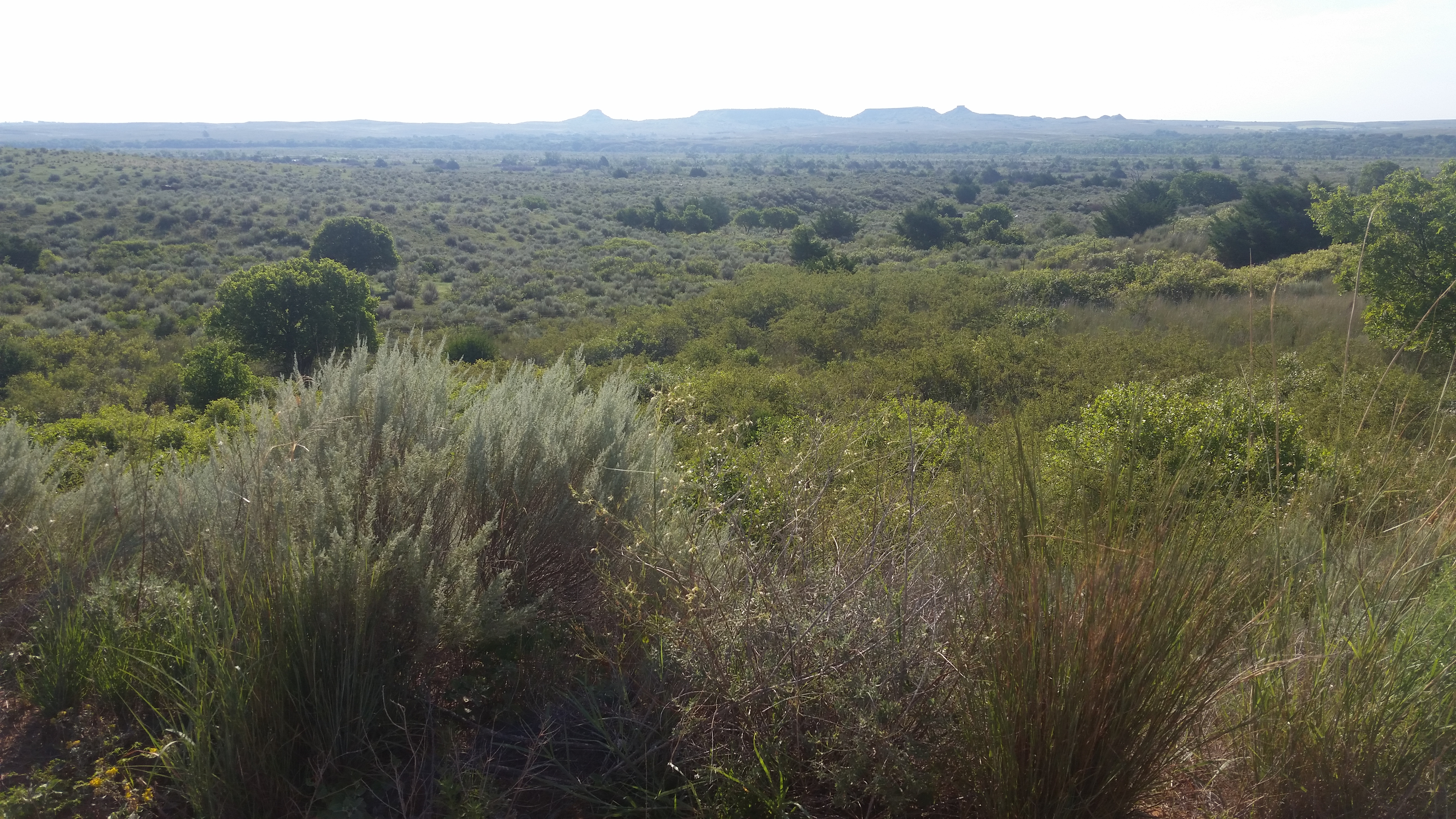 View of the Antelope Hills battlefield, with the Antelope Hills in the background and the Canadian River the midground.  The confluence with Little Robe Creek is downstream to the left.