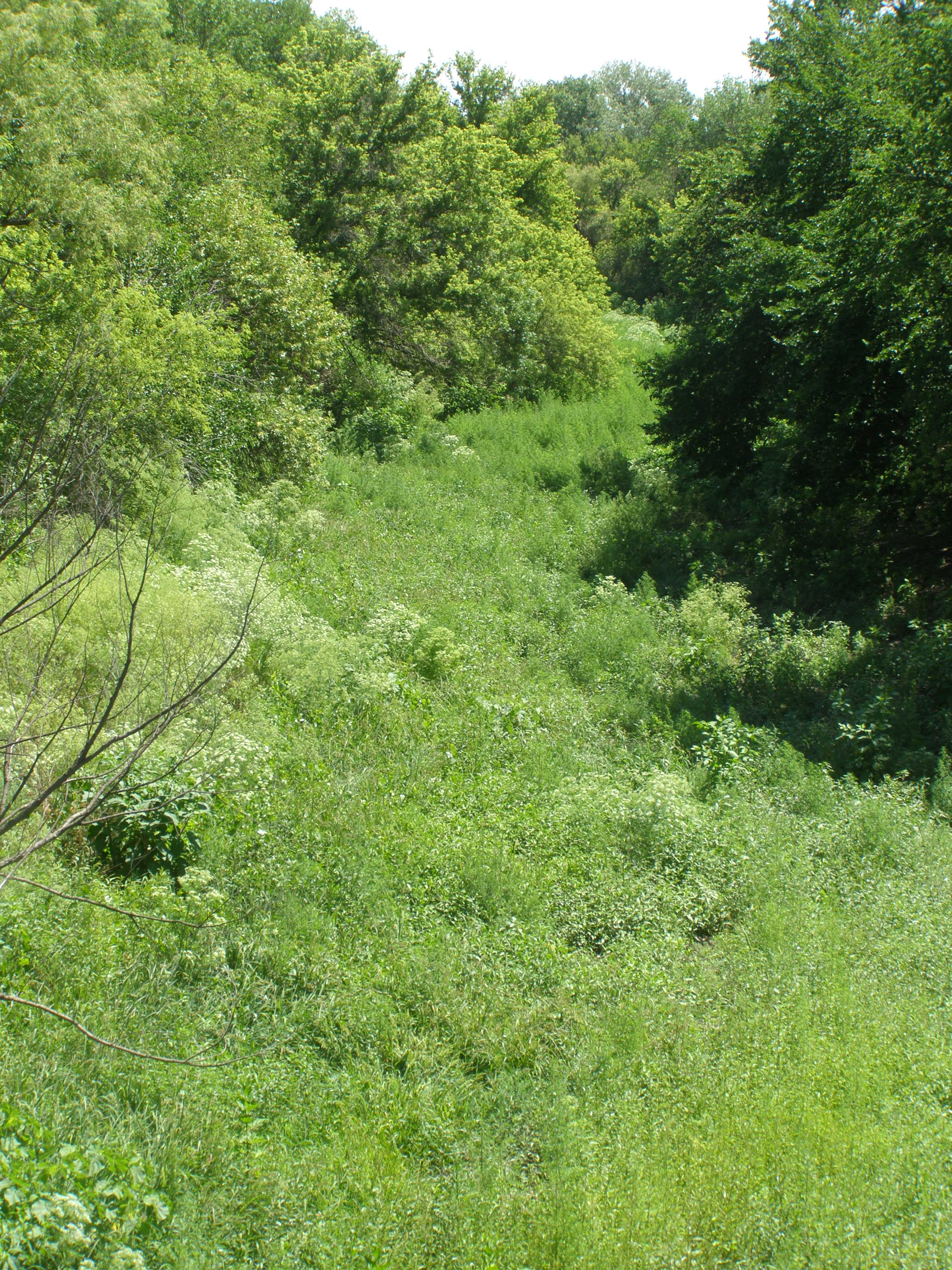 Dry Bed of the Larned River at Fort Larned, Kansas