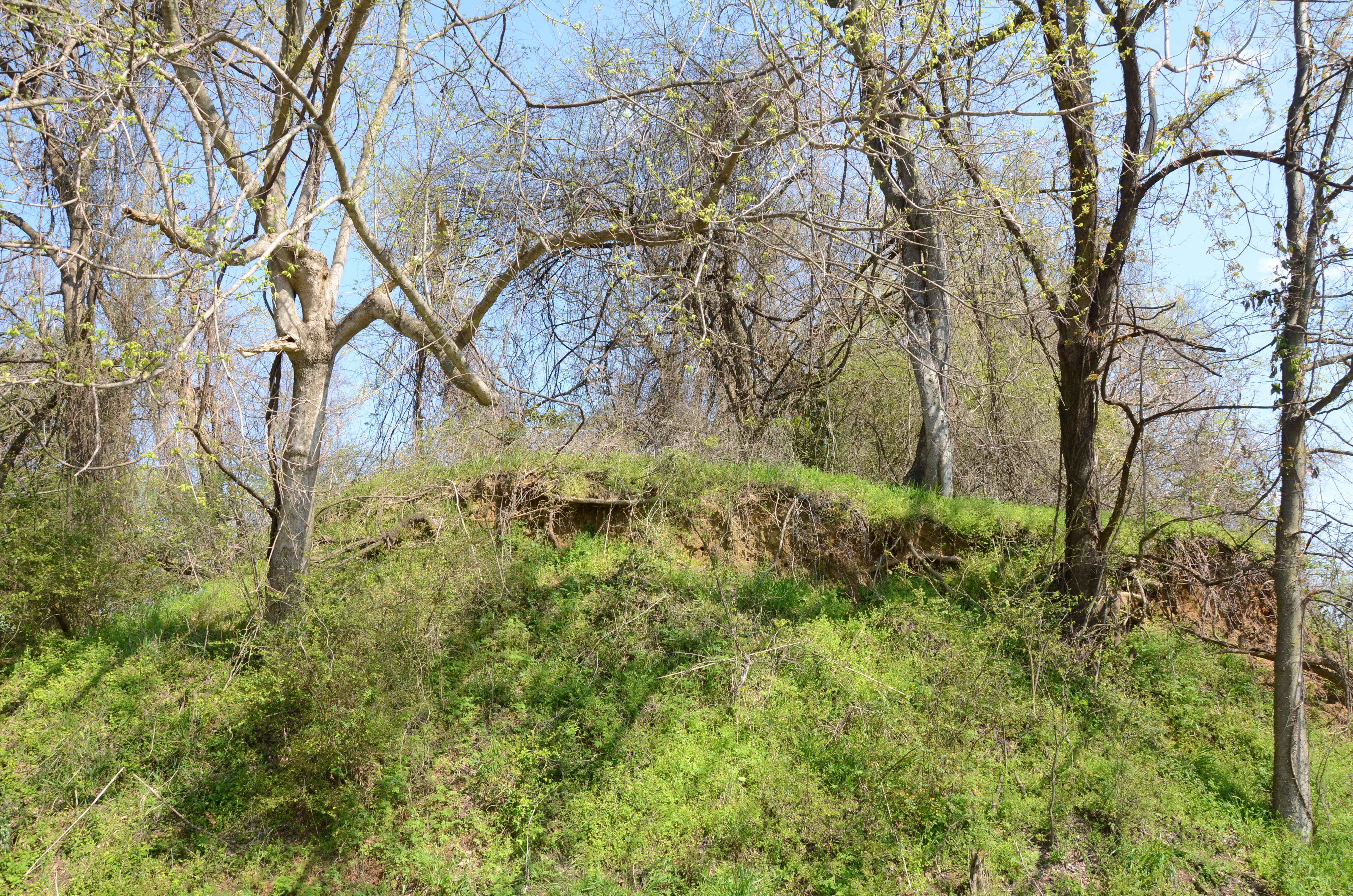 Battery B Site, Helena Battlefield, Helena, Arkansas.