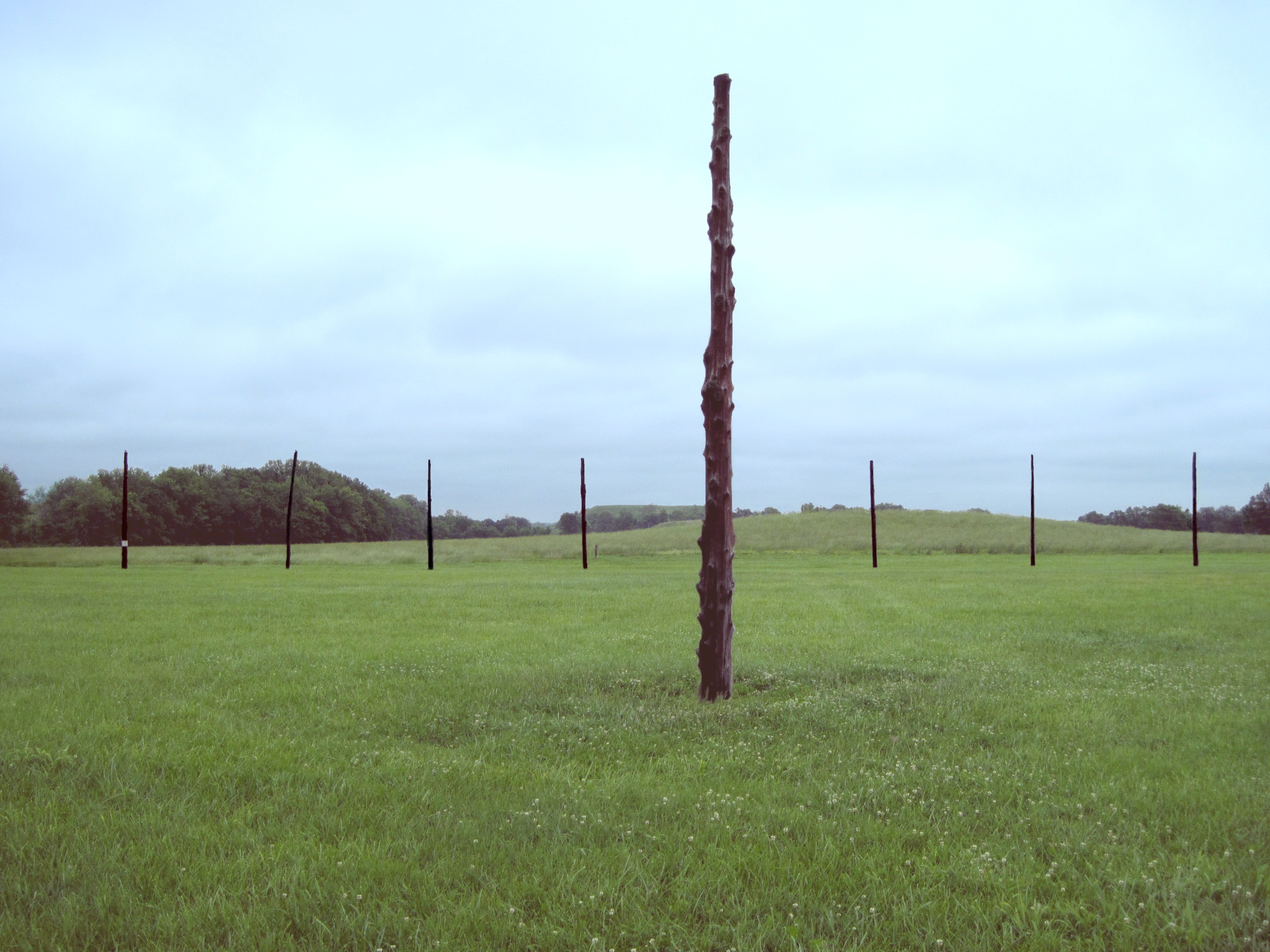 The central column of Cahokia's 'Woodhenge' aligned as it would be for the equinoxes.