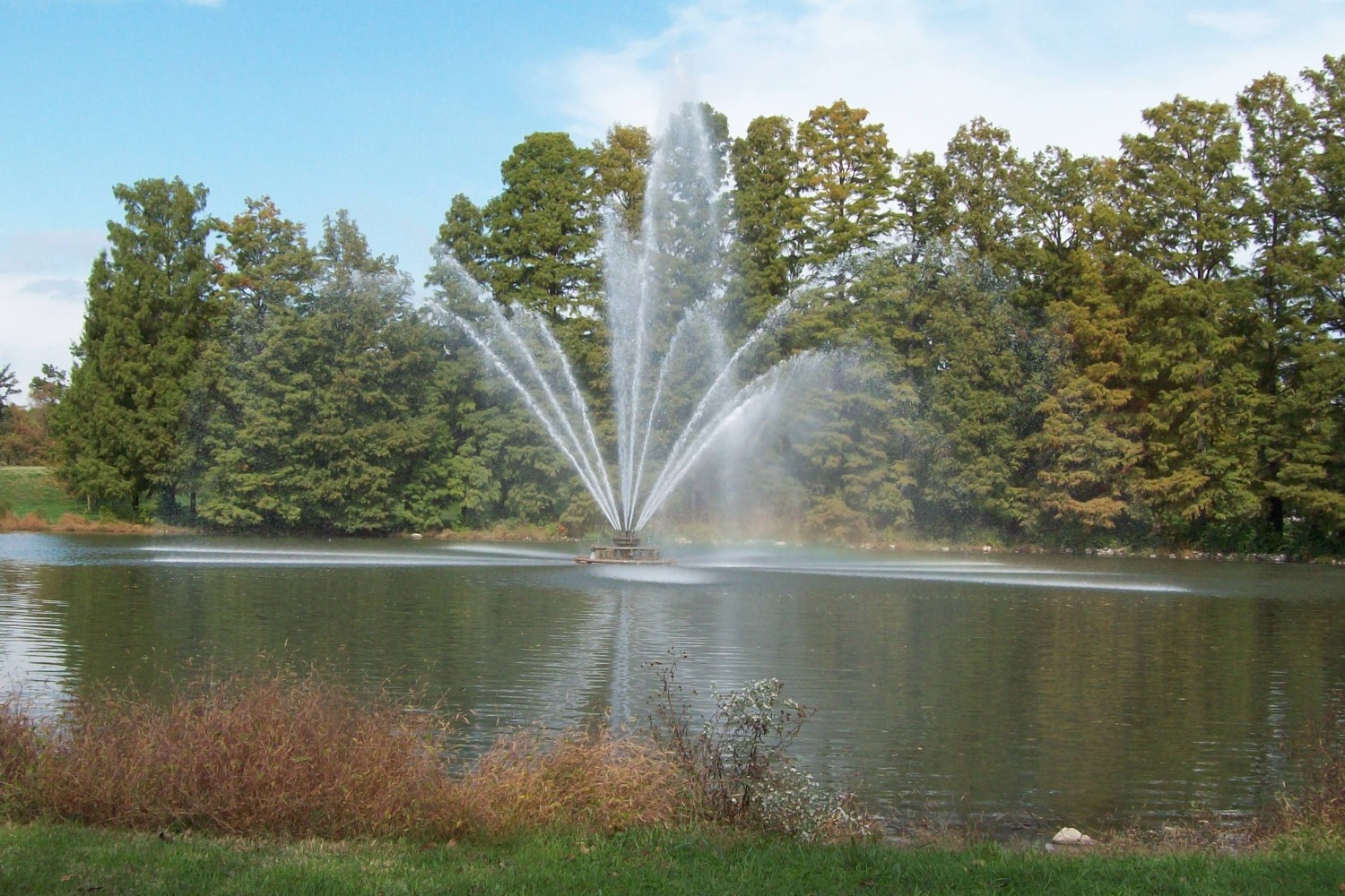 Round Lake in Forest Park.