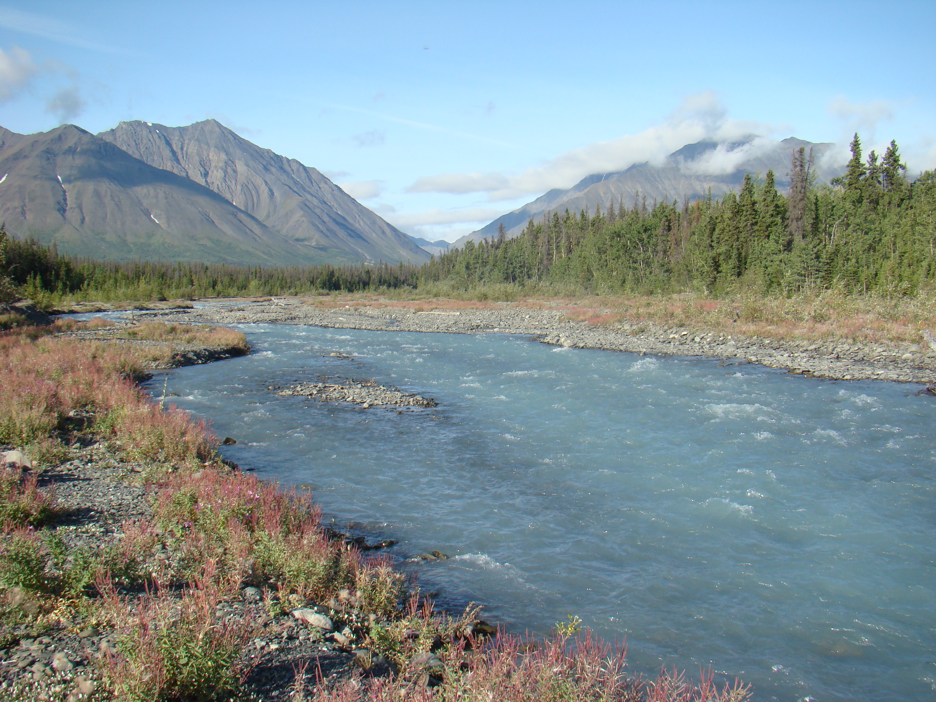 Quill Creek, Kluane National Park, Yukon, Canada