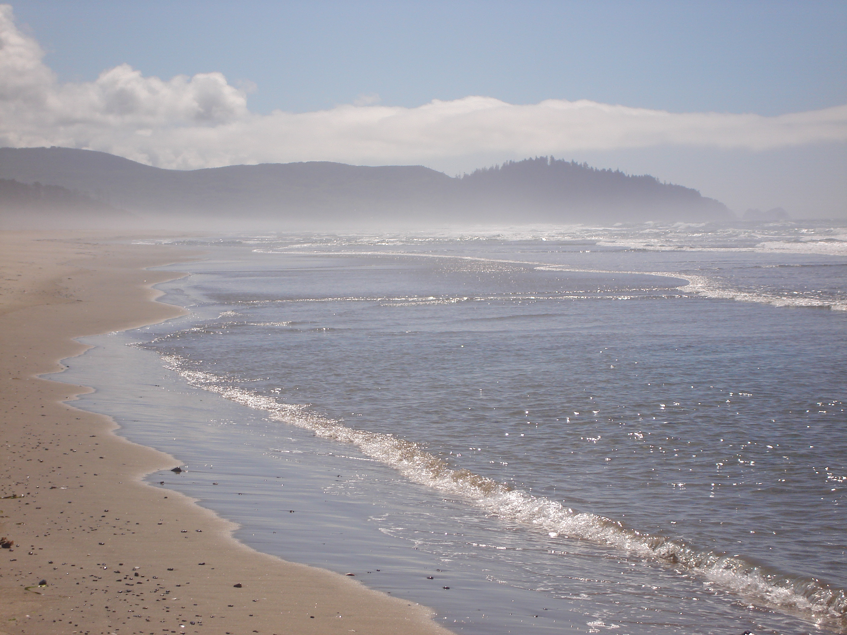 A picture I took from the beach of en:Cape Meares, Oregon.