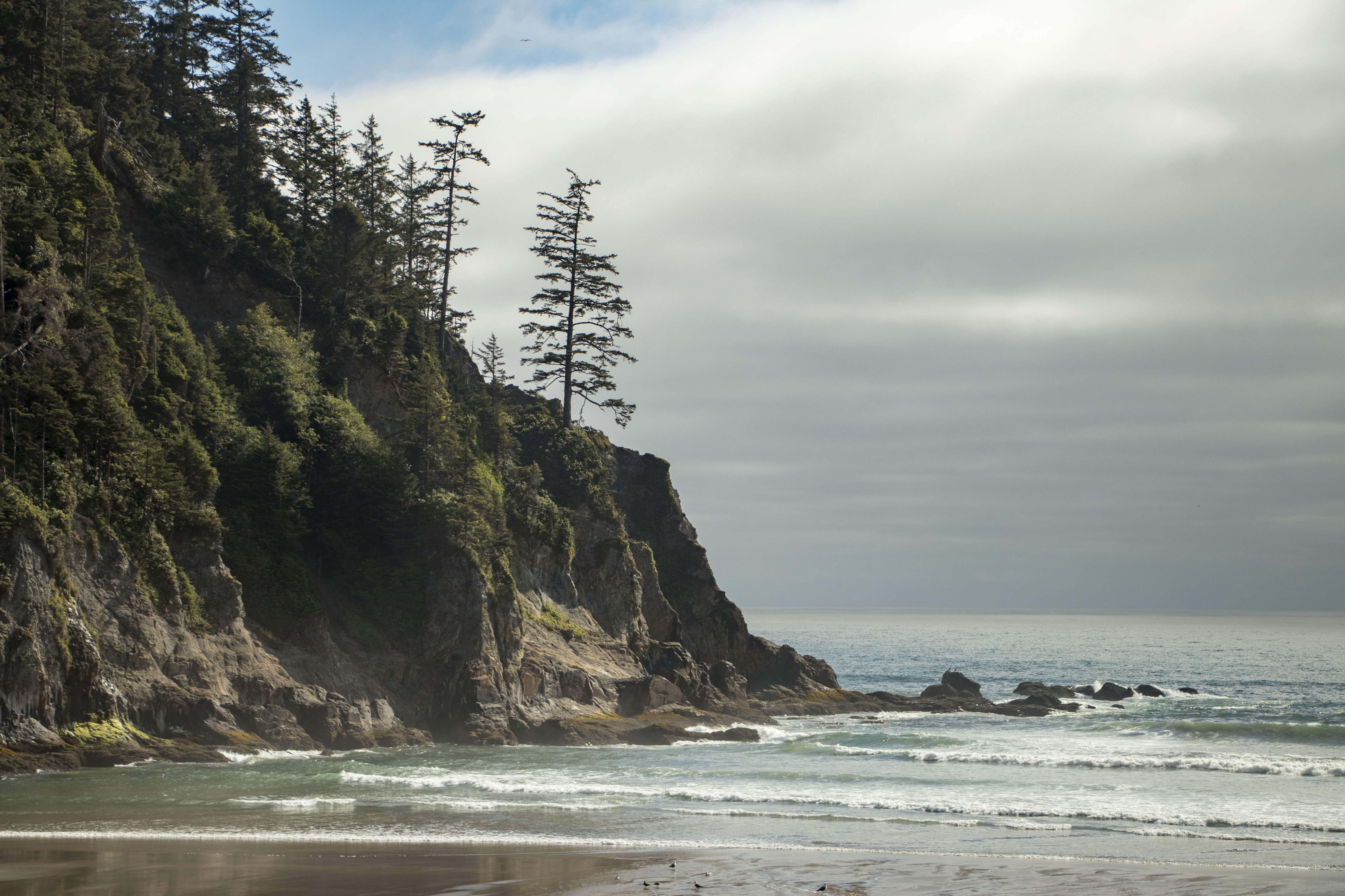 The left hand cliffside with a lone growing spruce. A large front moves in from the pacific.