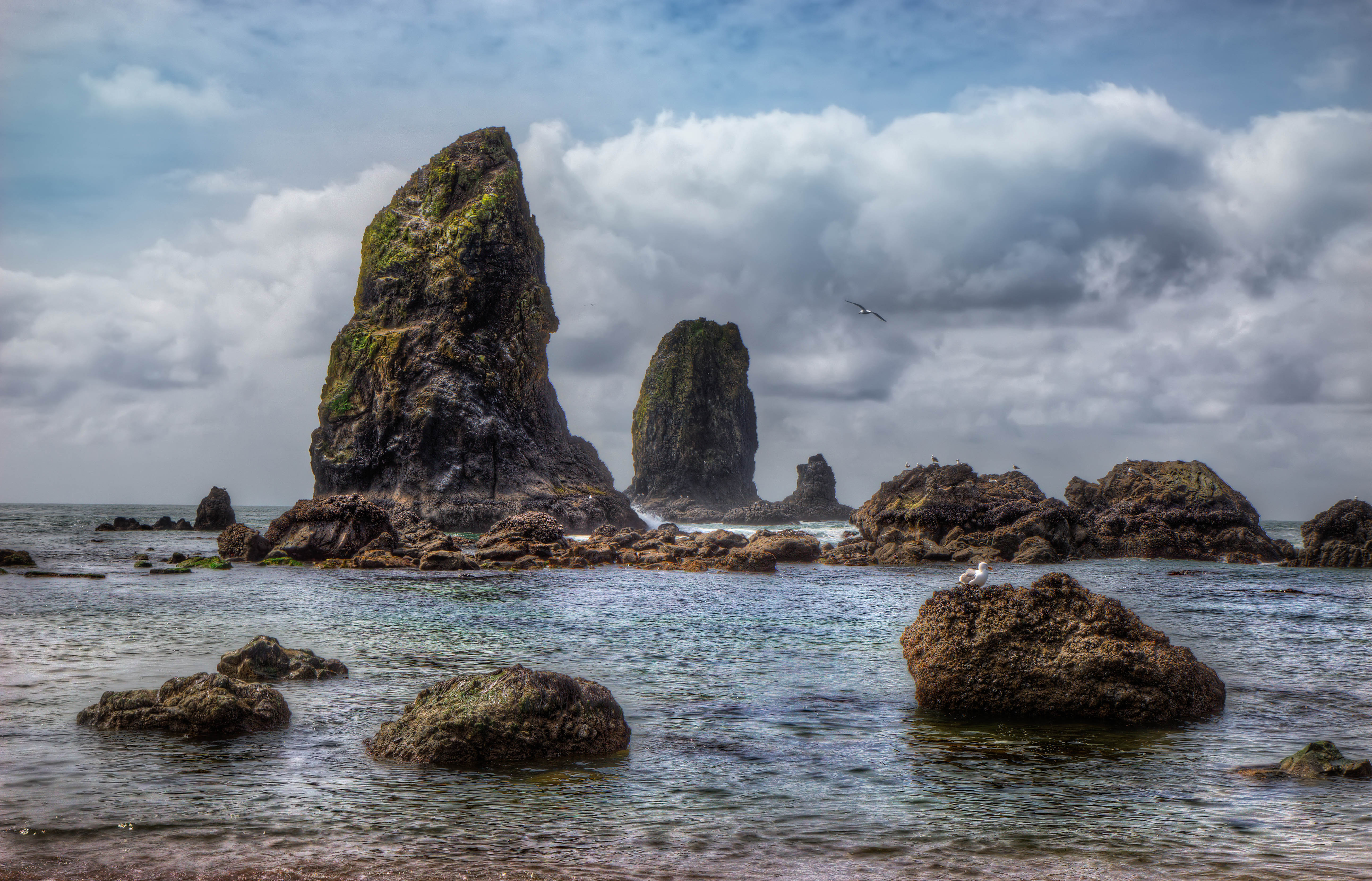 Part of Haystack Rock on cannon beach
