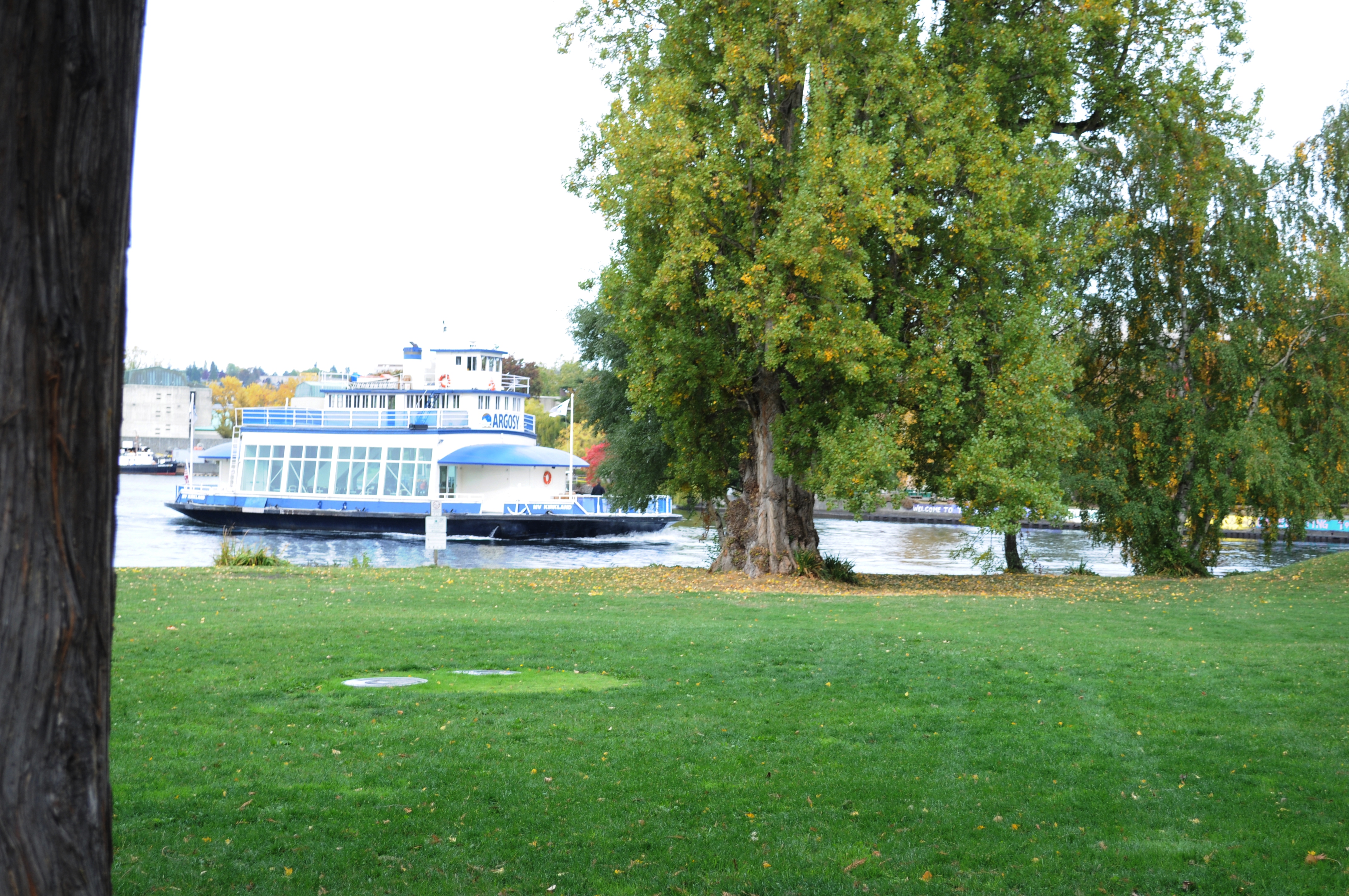 The MV Kirkland (previously Tourist II, listed on the National Register of Historic Places) seen from West Montlake Park, Seattle, Washington. Not a great photo: I happened to be there for other reasons, noticed this historic boat going (rapidly) by, and snapped what was almost a "hipshot" of it.