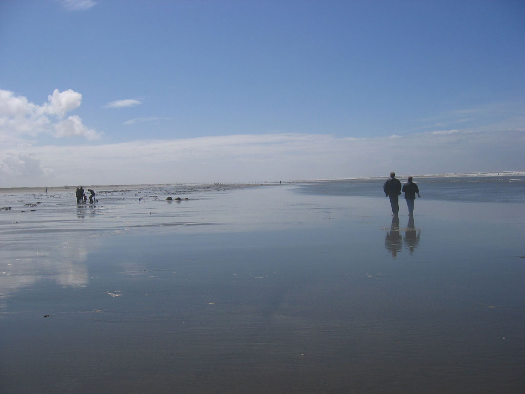 Digging for razor clams on the beach