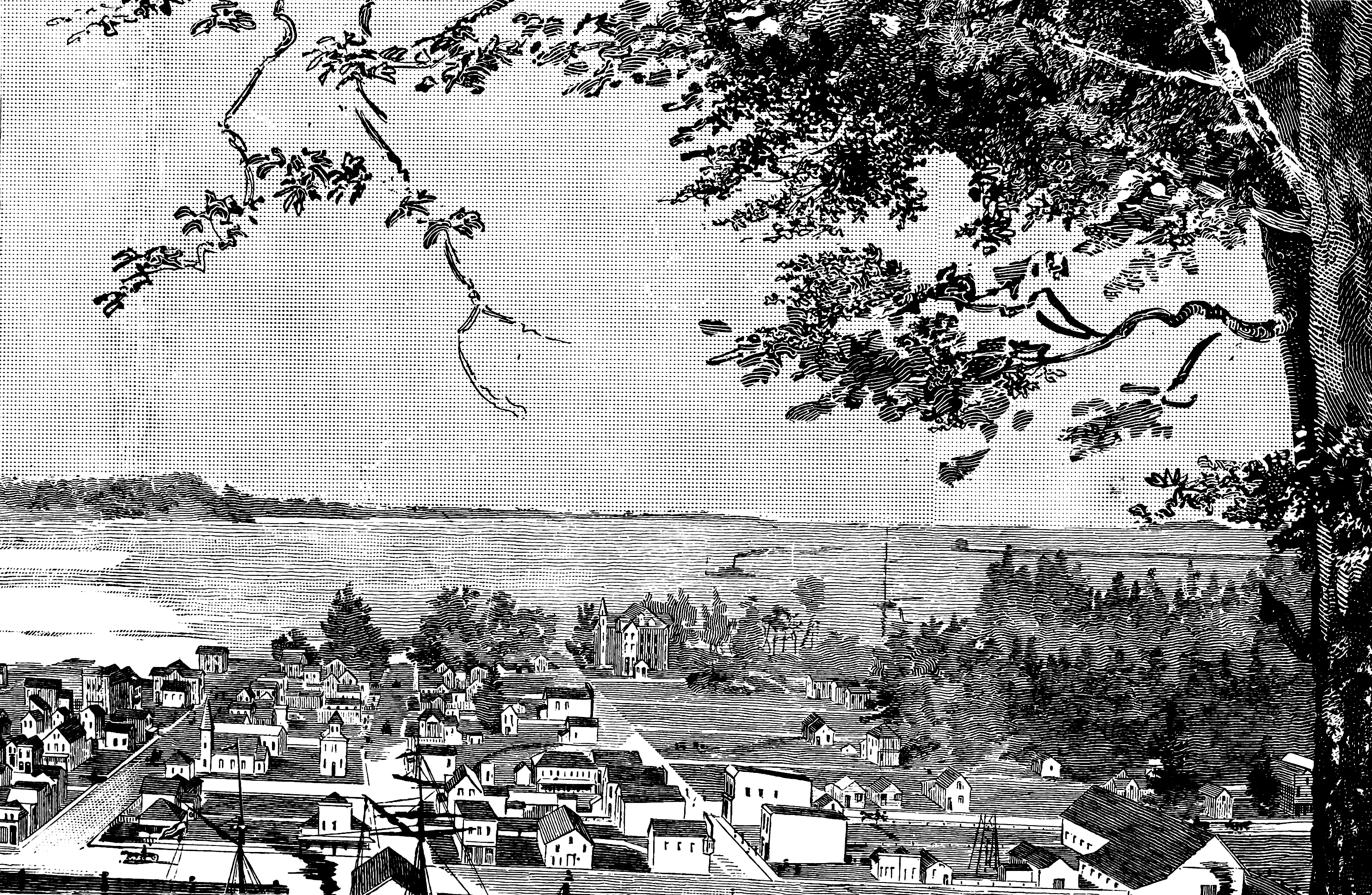Gray's Harbor from Hoquiam, 1889 (p. 277 from scans)
