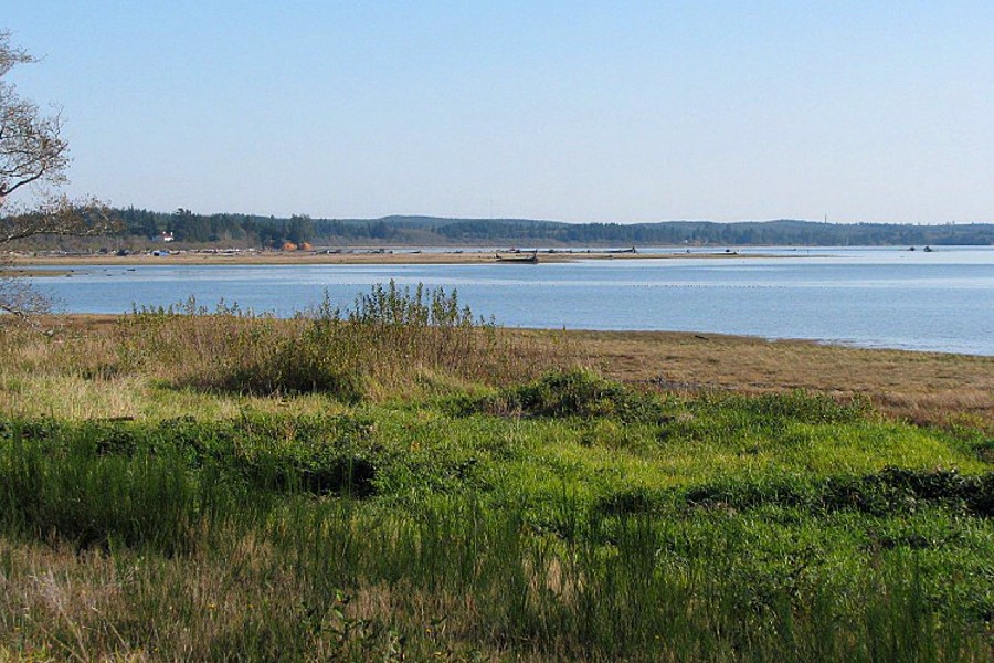 Humptolips River mouth into Grays Harbor