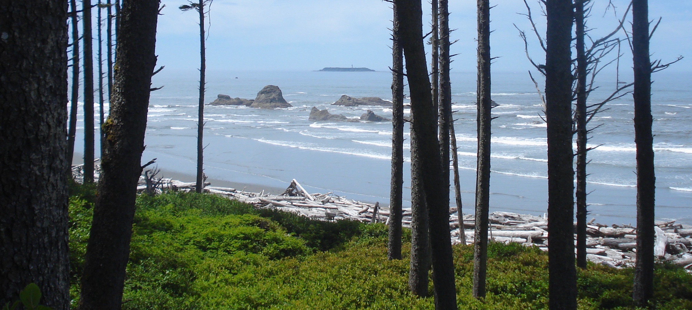 Destruction Island as seen from Ruby Beach, WA. The island lies about three miles offshore. The lighthouse was decommissioned in 2008.
