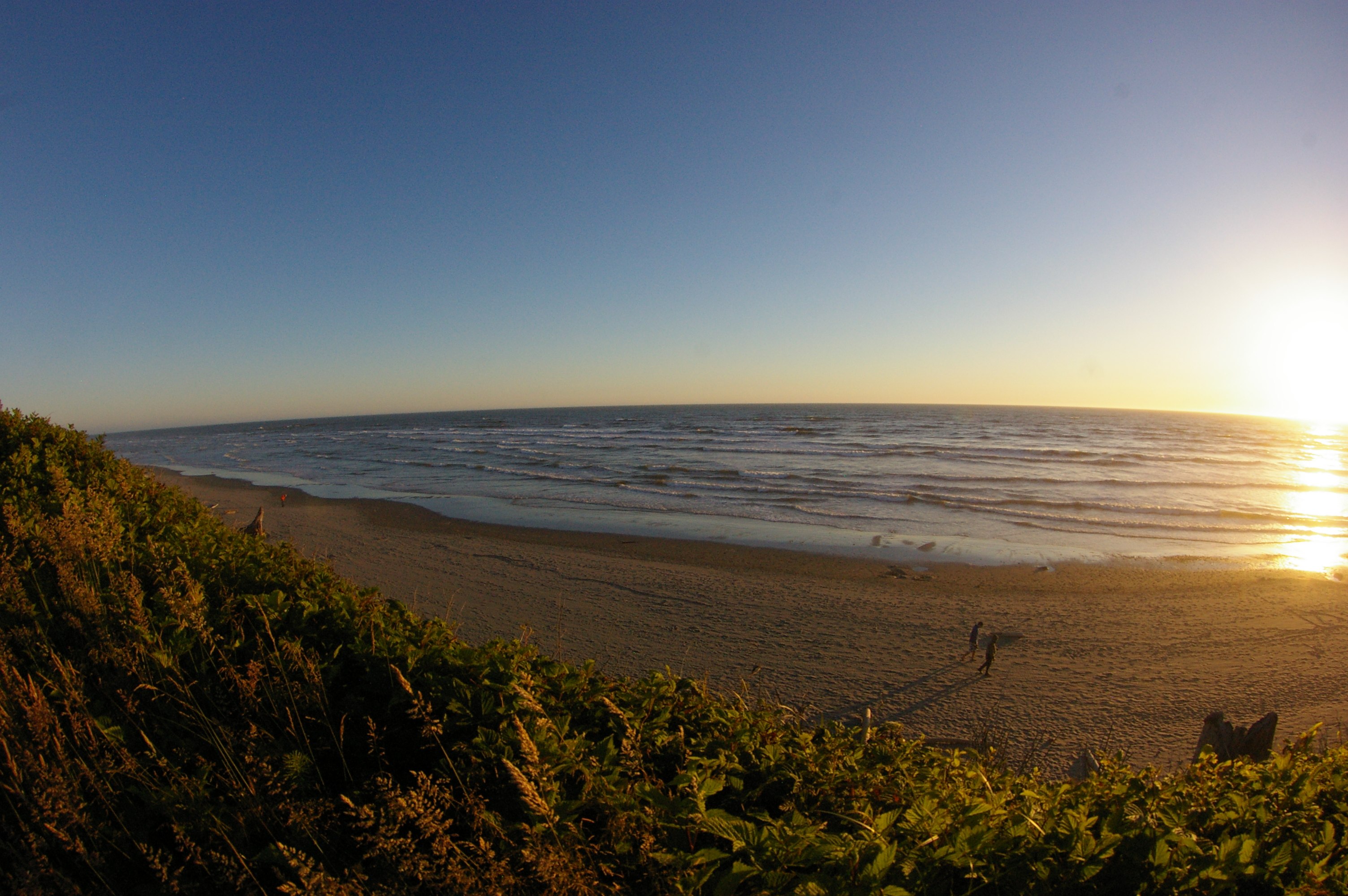 The sun in a blue sky setting over the Pacific at Kalaloch beach, Washington U.S. A few people are walking on the beach in the waning light.