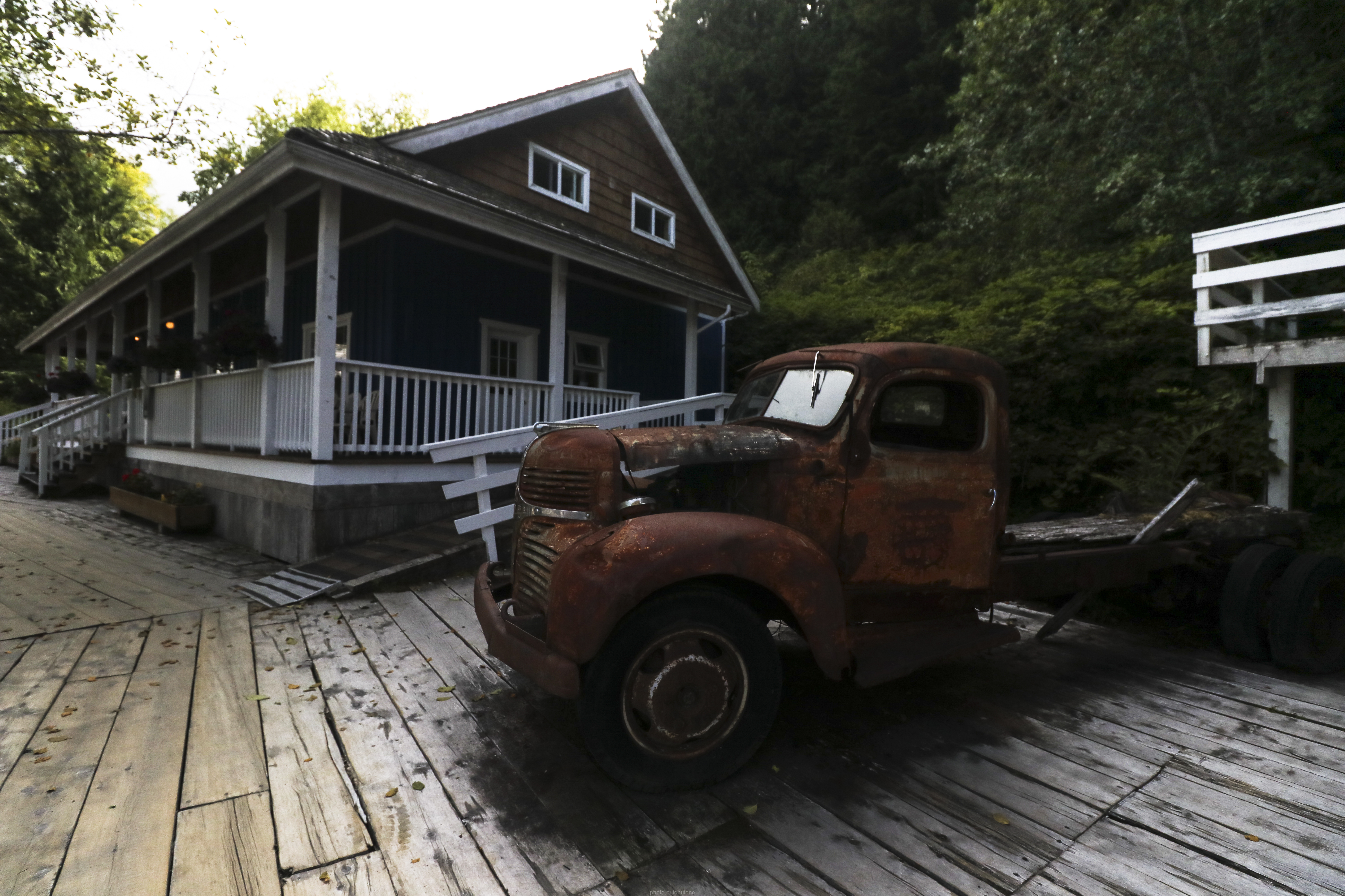Telegraph Cove is a community of about 20 inhabitants, on Vancouver Island in British Columbia, Canada