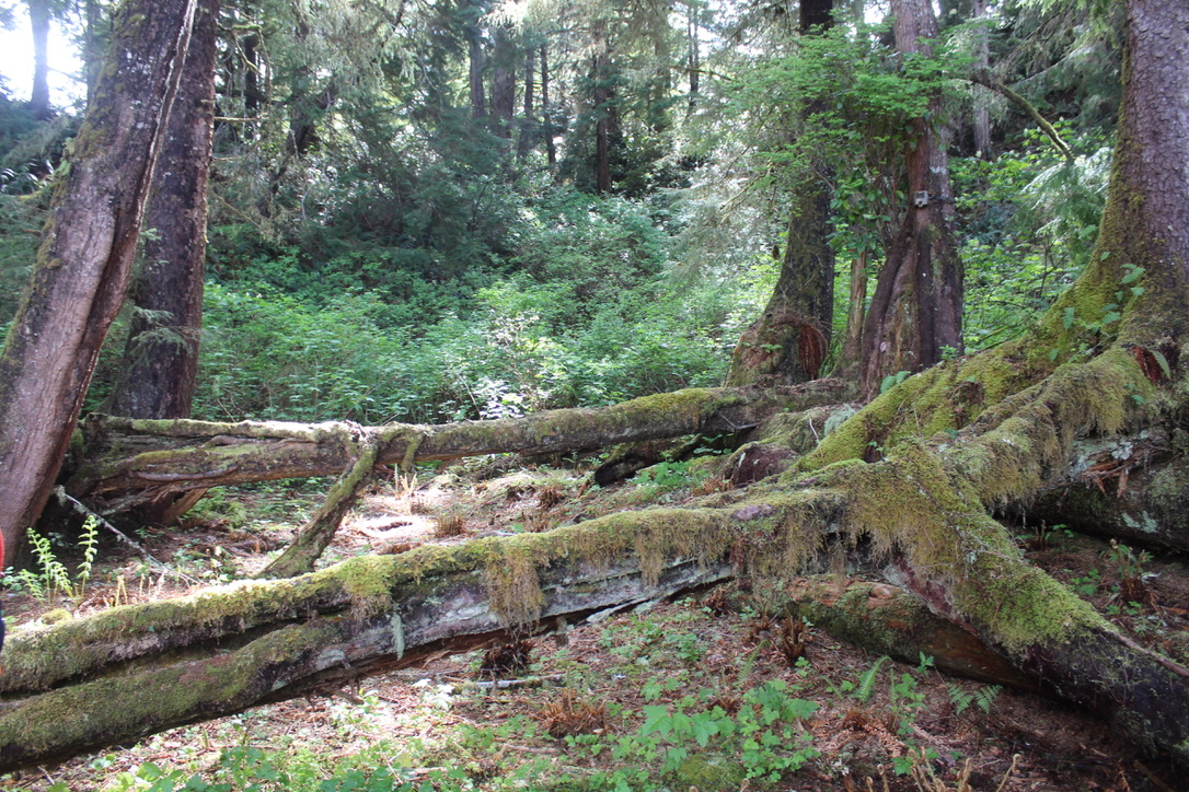 Kiix?in Village and Fortress National Historic Site