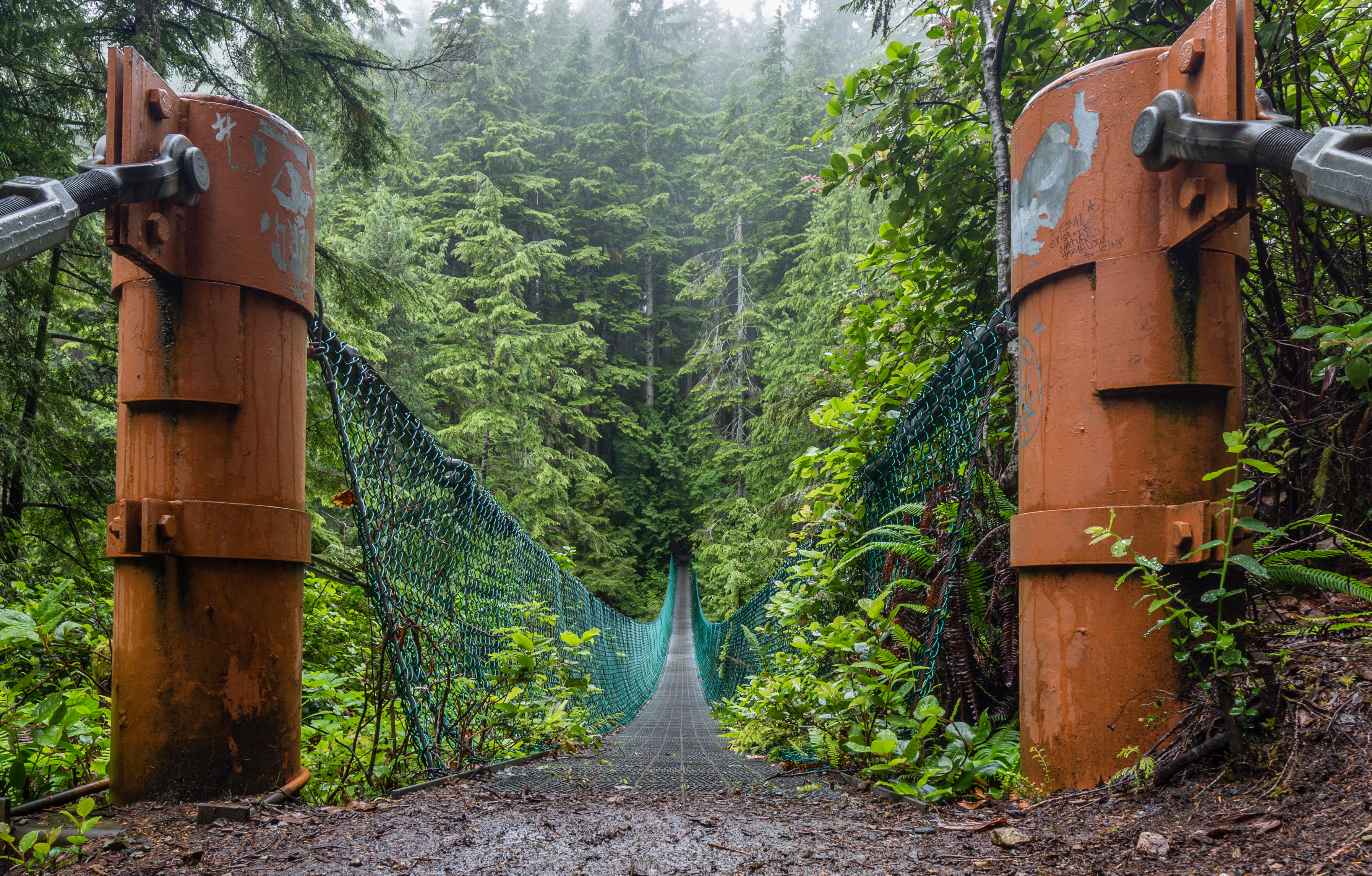 Suspension bridge over Loss Creek on the Juan de Fuca Marine Trail, Vancouver Island, Canada