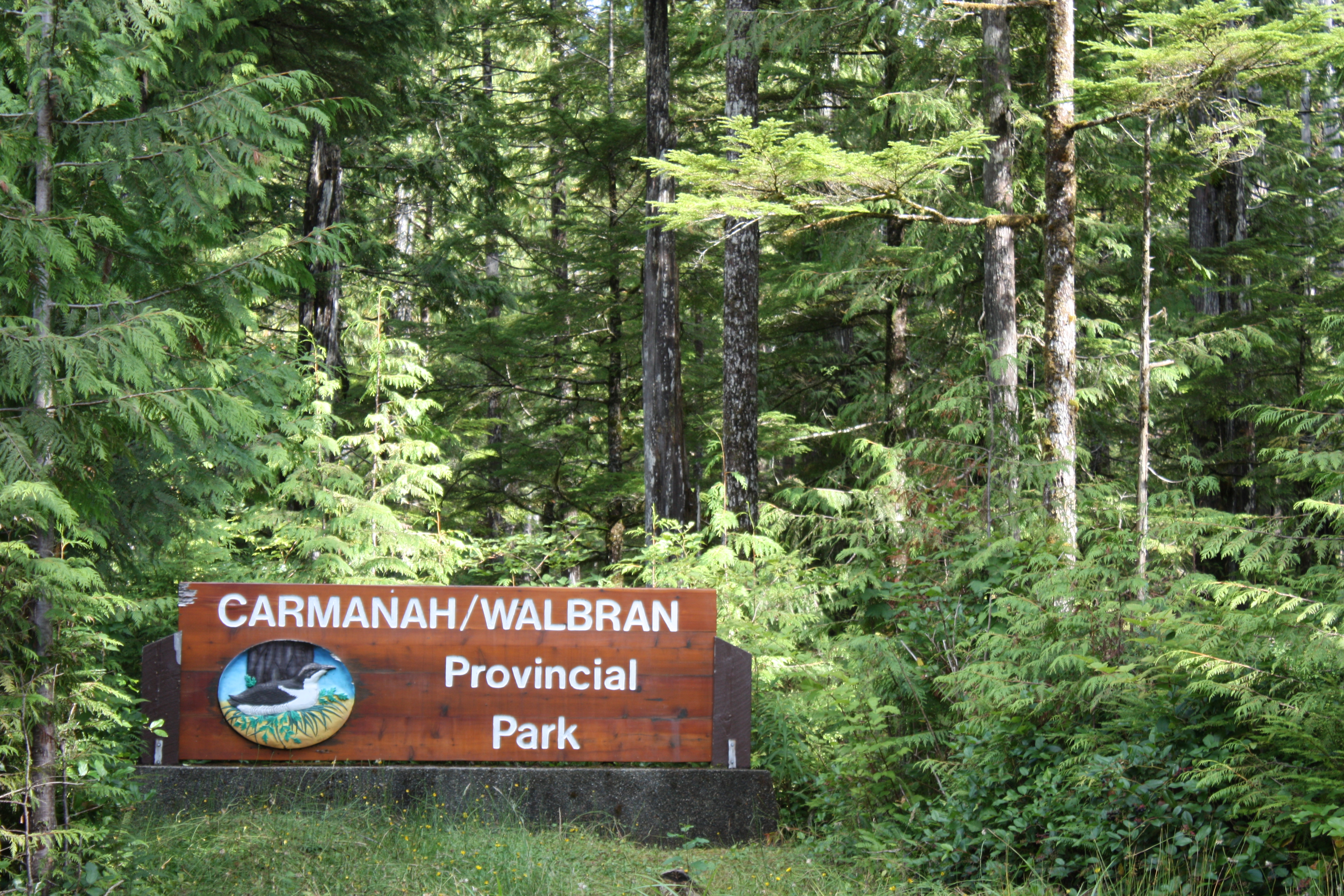 Image of sign at Carmanah Walbran Provincial Park