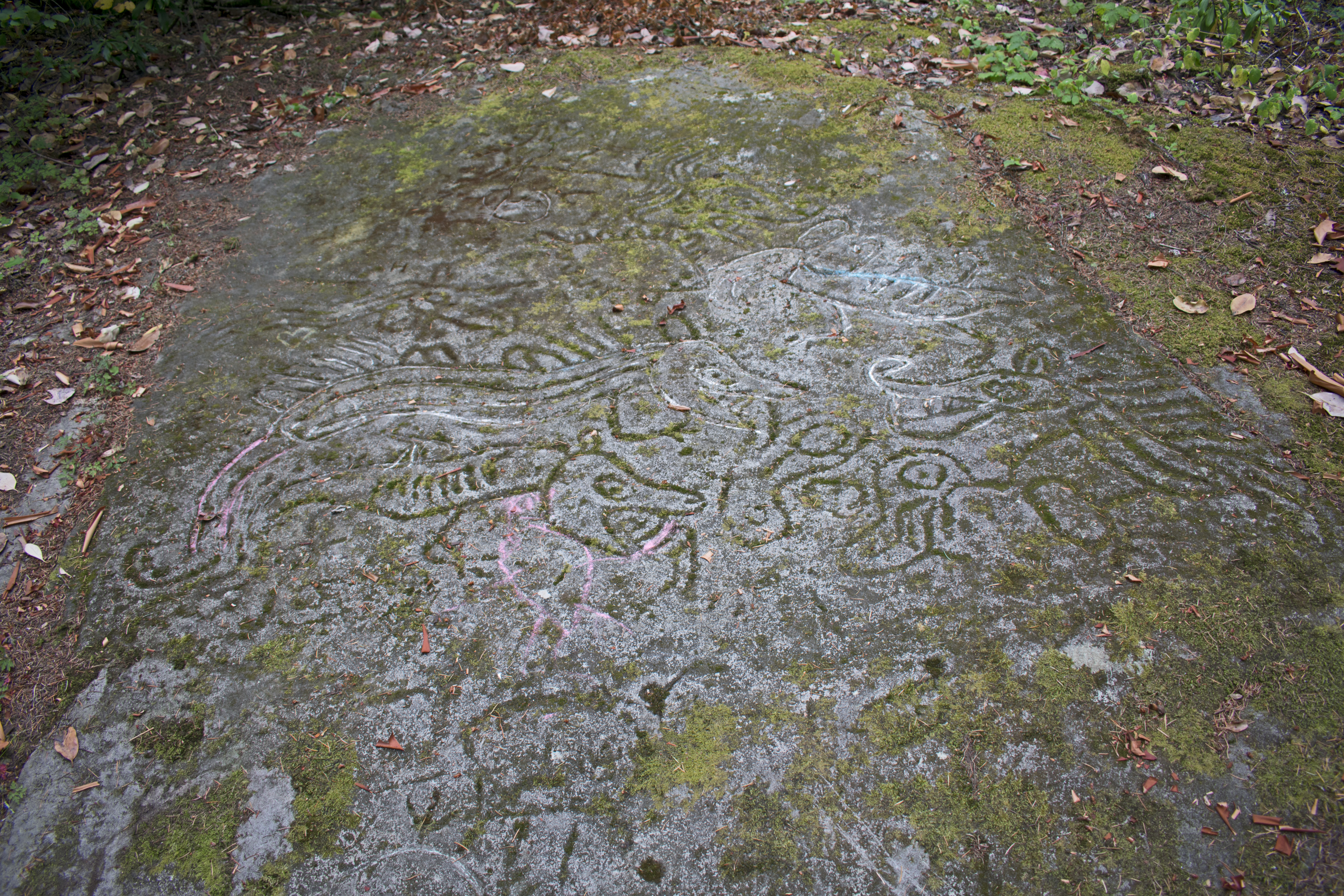 Petroglyphs in Petroglyph Provincial Park
