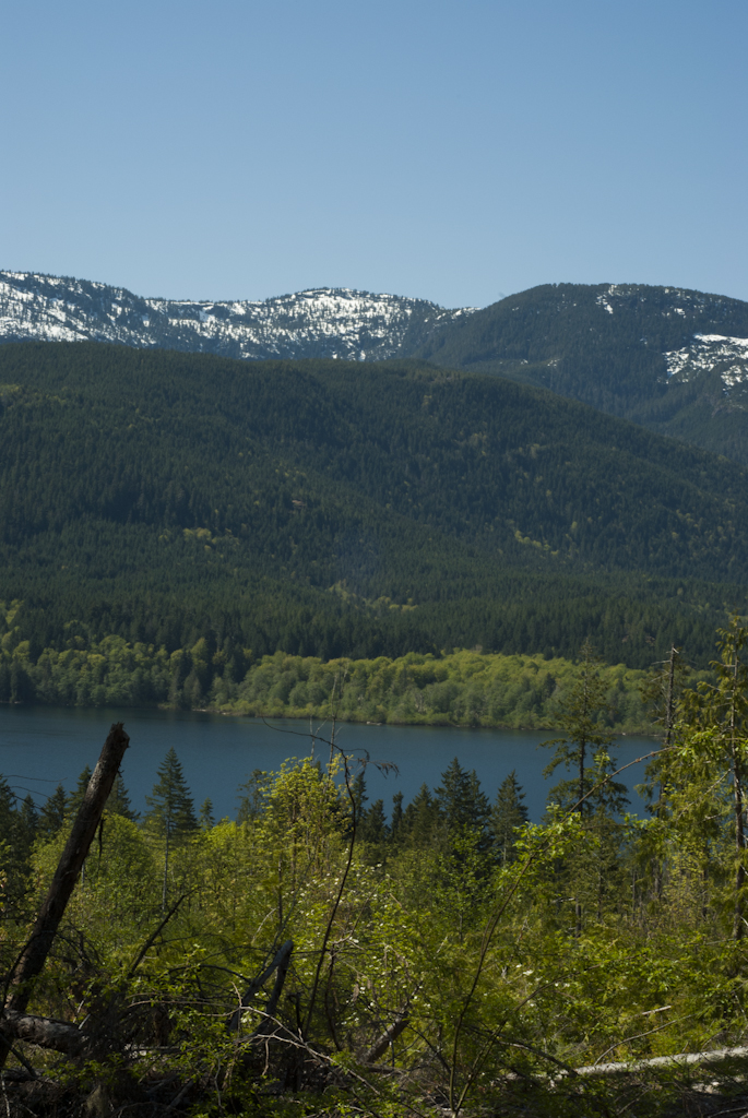 Spotted from one of the many mountain bike trails next to Sproat lake.