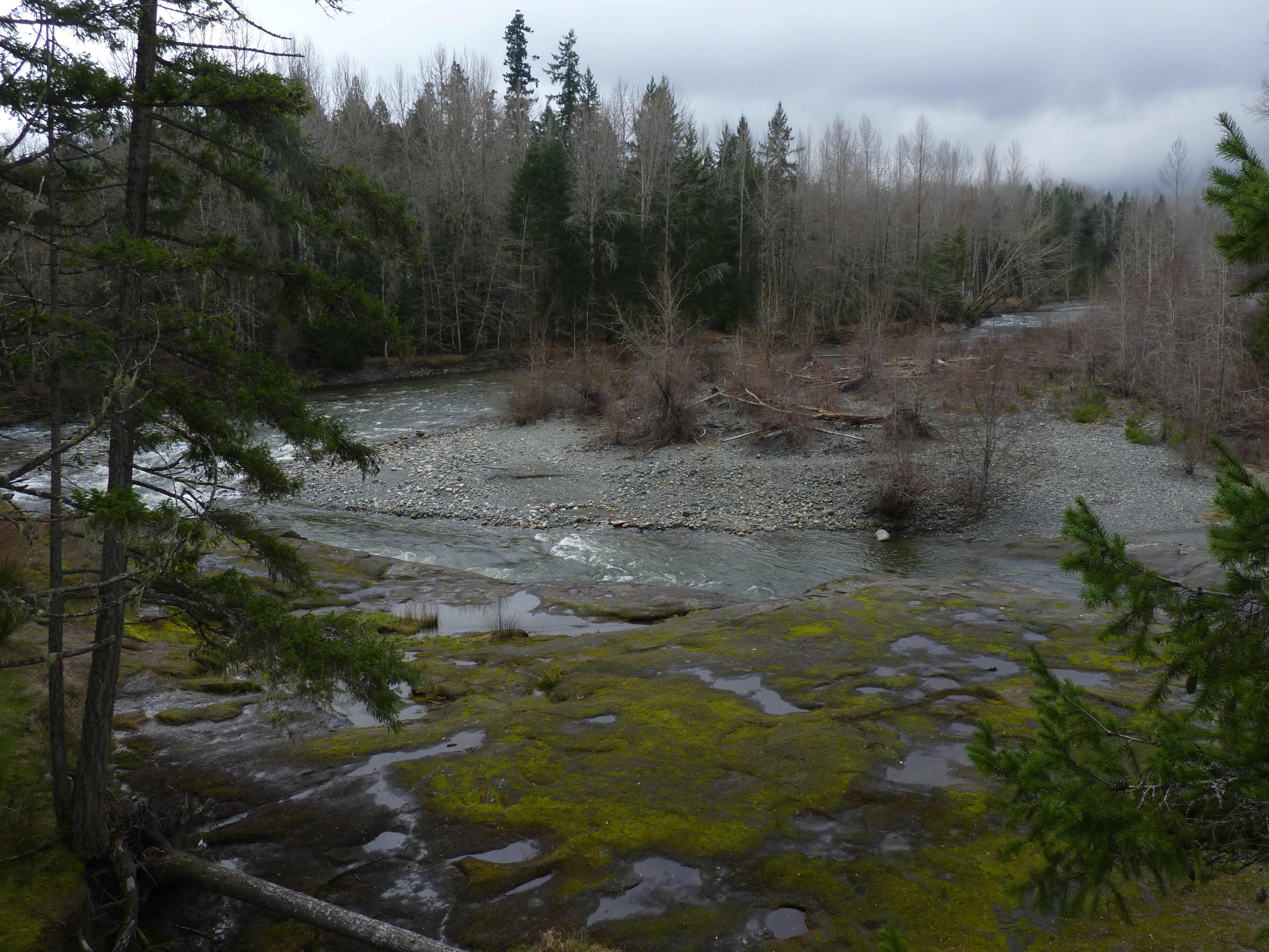 This photo shows protected habitat area near parksville, British Columbia, Canada