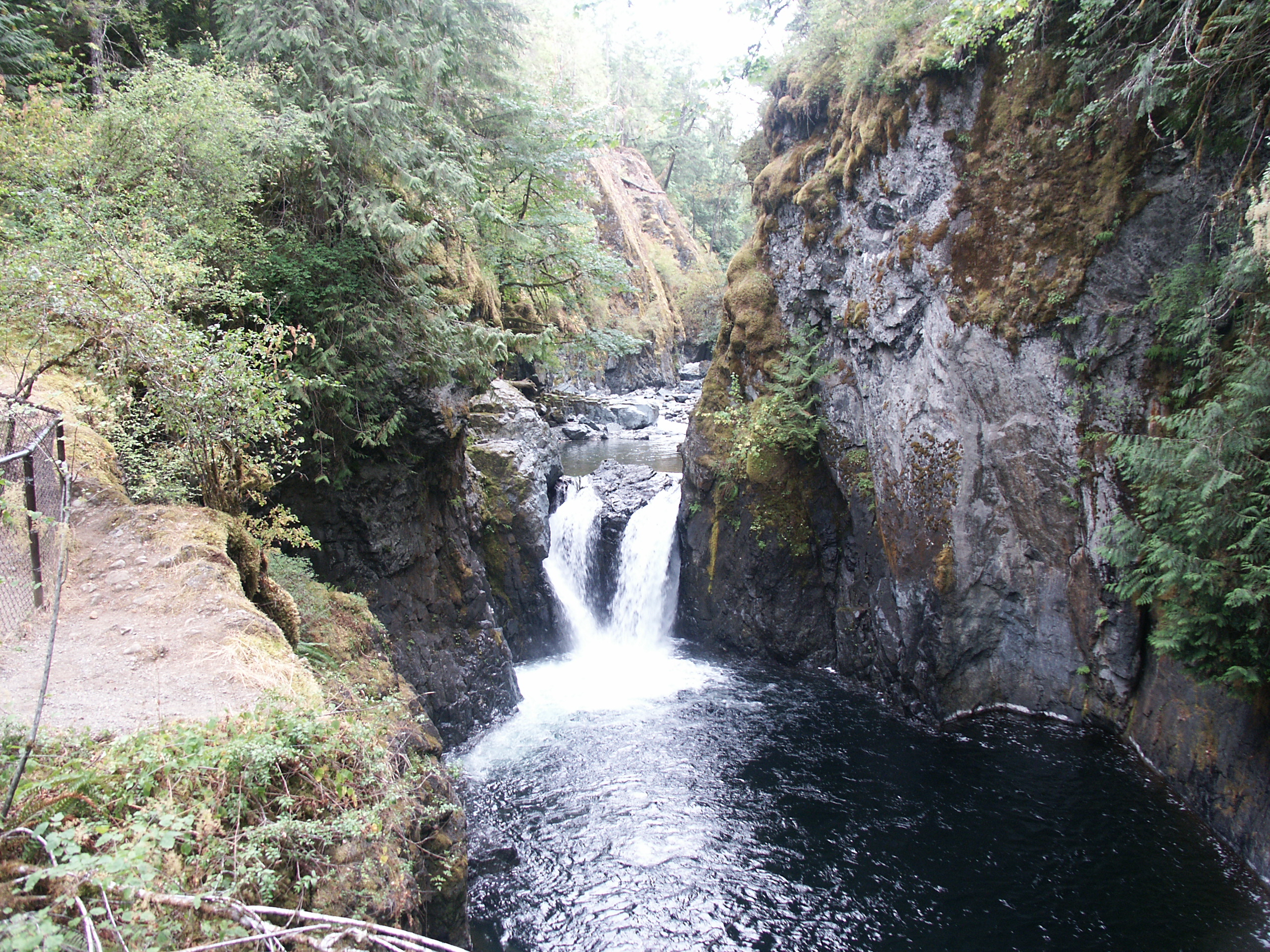 Englishman River Falls, near Errington, Vancouver Island, British Columbia in the BC Provincial Park of the same name.