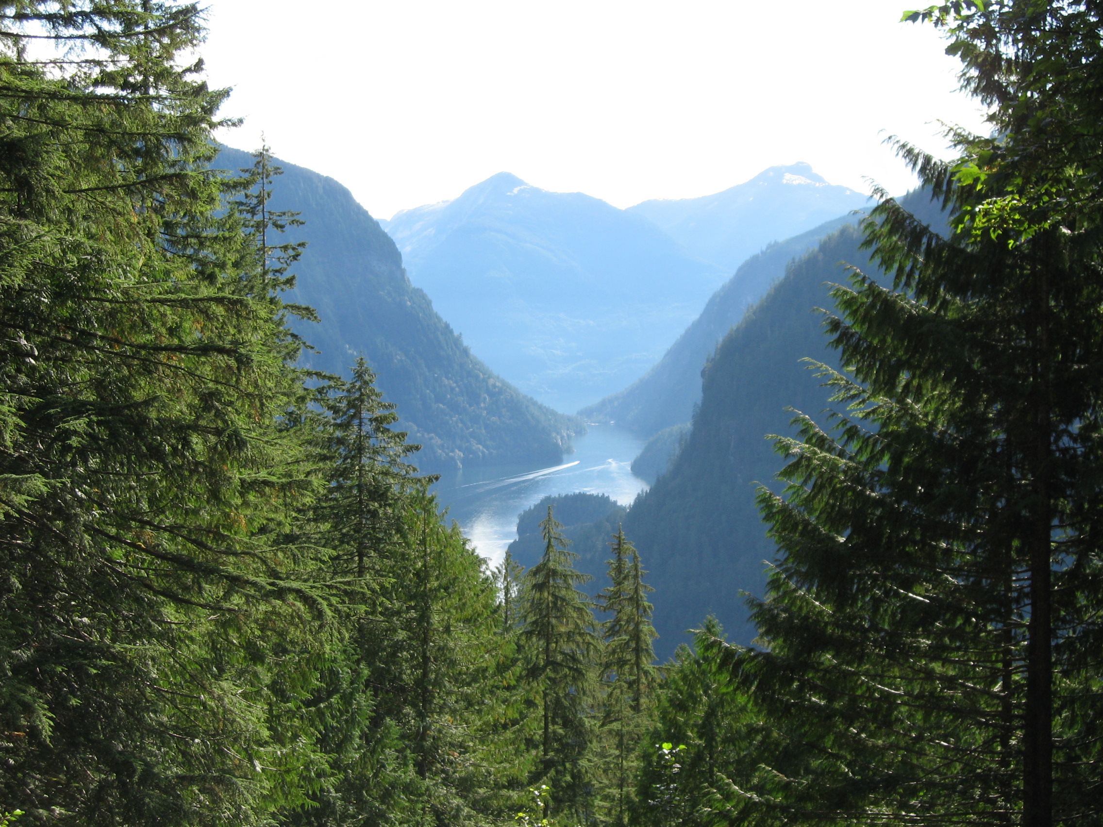 View of Princess Louisa Inlet, British Columbia taken from Trappers Cabin Trail above Chatterbox Falls