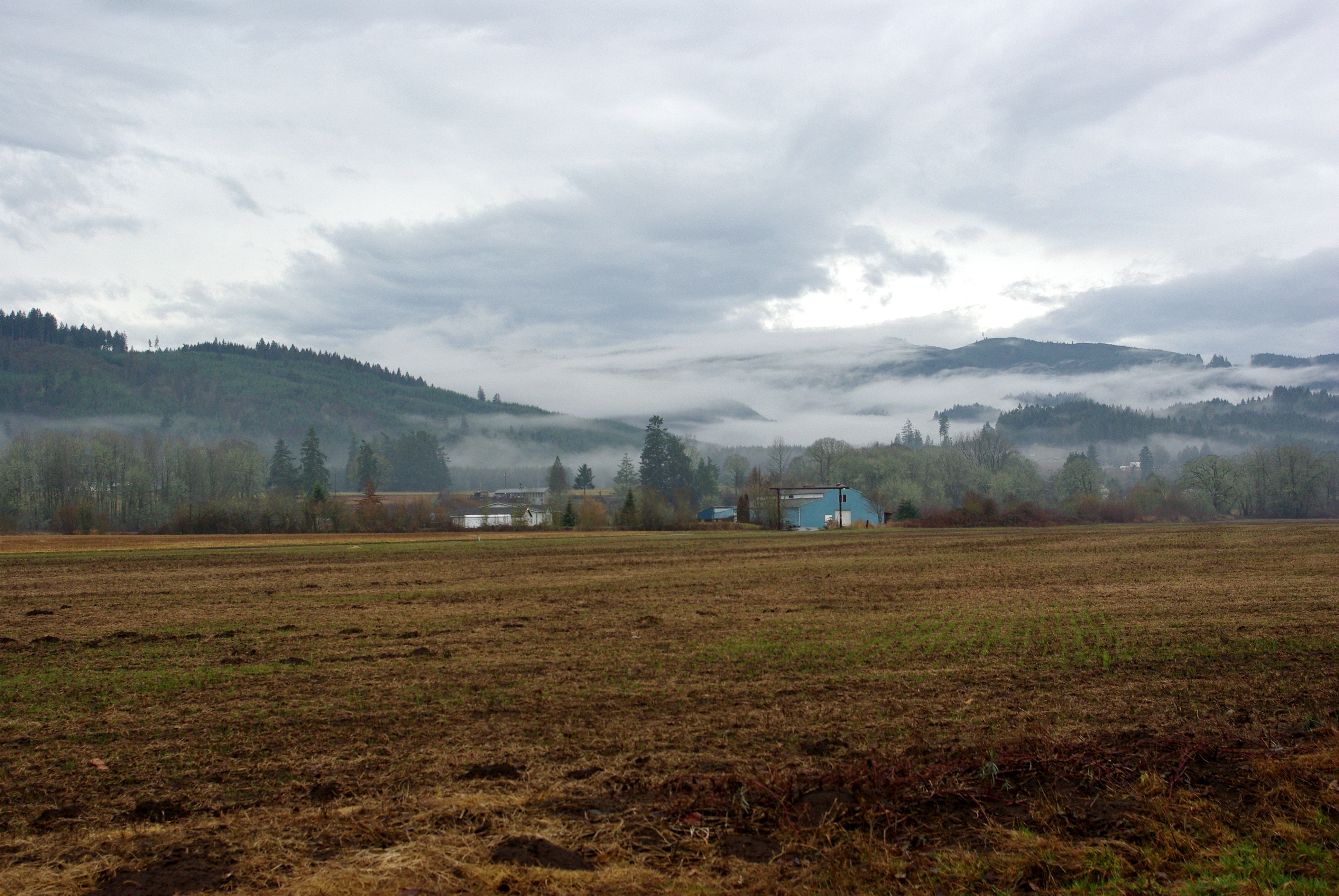 w:Northern Oregon Coast Range blanketed in fog. From Gales Creek Road looking west near w:Balm Grove, Oregon.
