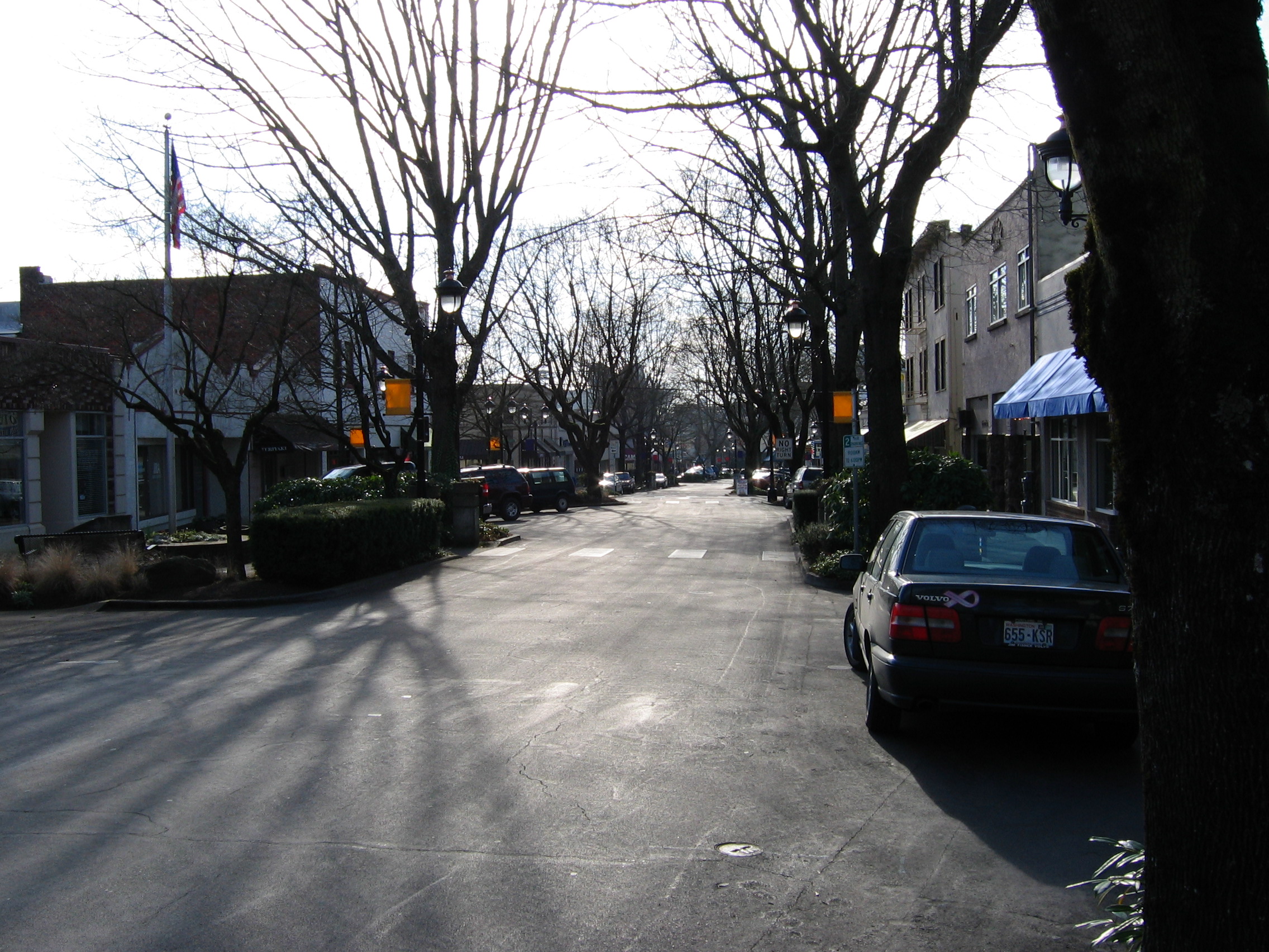 Picture taken in Camas, Washington while standing on the north-west corner of the NE Dallas and NE 4th Ave intersection and while facing west.