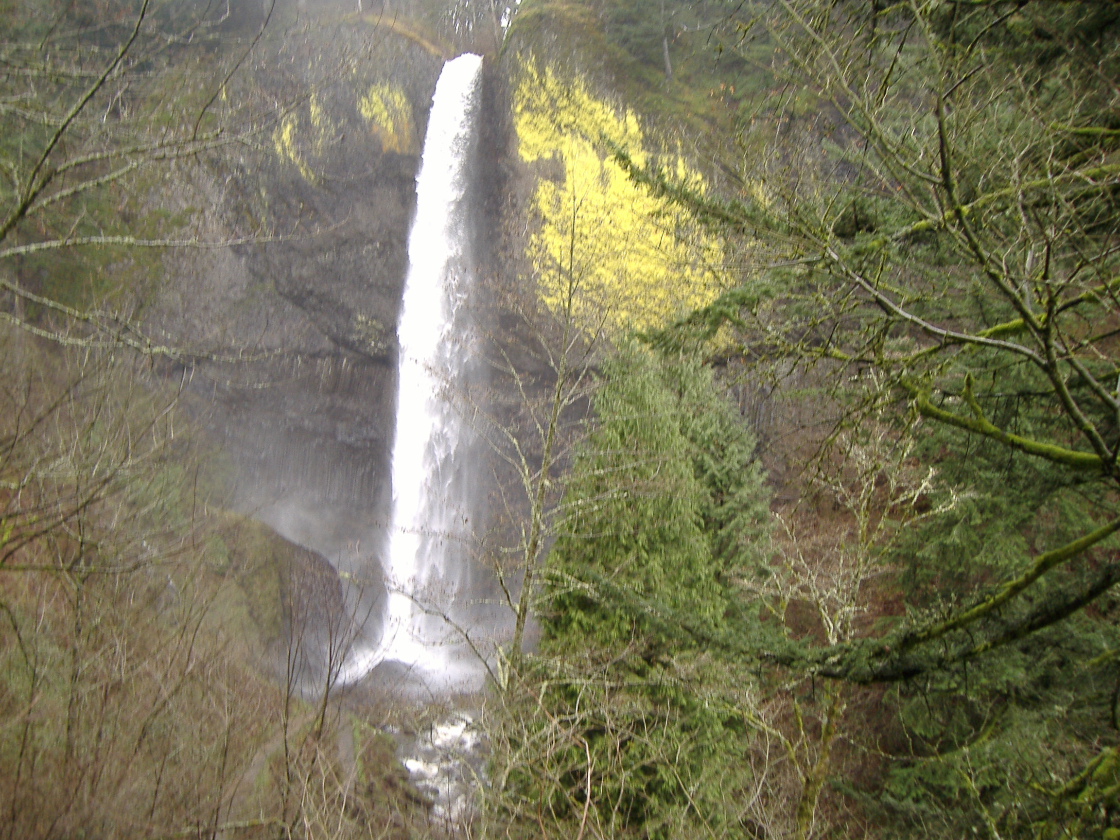 One of several easily accessible falls along the Columbia Gorge Highway near Portland, Oregon