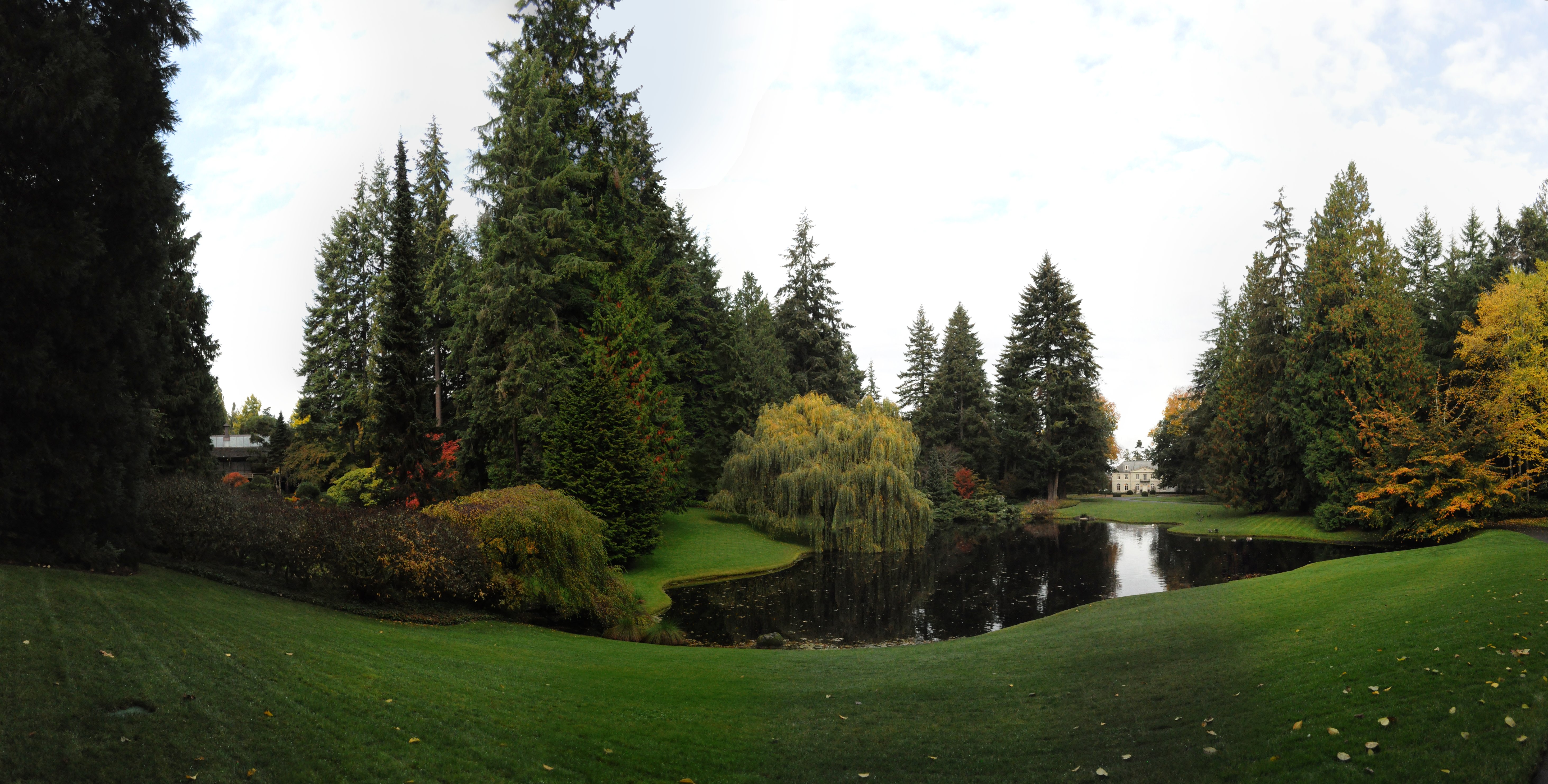 Bloedel Reserve, Bainbridge Island, Washington. Panoramic view extending roughly from the Japanese tea house (near left) to the former Boedel house (now visitor center, near right).
This panorama was created from 7 underlying photos. There was slight after-the-fact cleanup with GIMP, entirely of the sky, some of which showed up too gray.