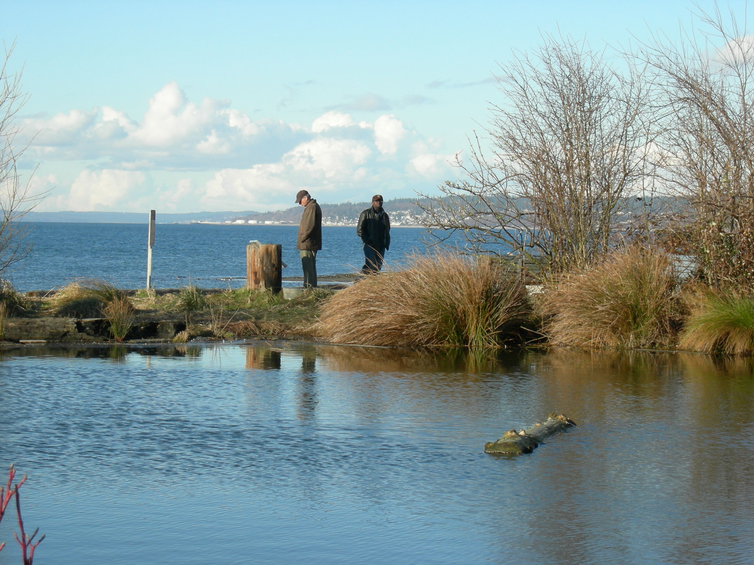 A narrow strip of land separates a marsh lake from the salt water of Shilshole Bay; Golden Gardens Park, Ballard, Seattle, Washington.